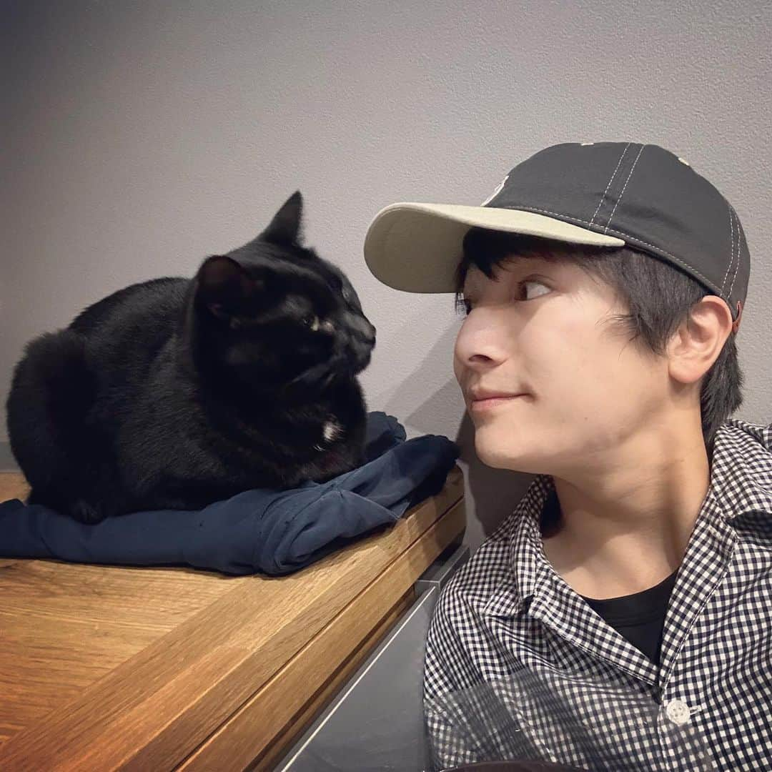 本田剛文さんのインスタグラム写真 - (本田剛文Instagram)「今日の弟達です！  #猫 #猫のいる暮らし #ねこすたぐらむ  #UNIVERSALOVERALL #キャップ #ボイメン #本田剛文」7月13日 21時37分 - boymen_honda