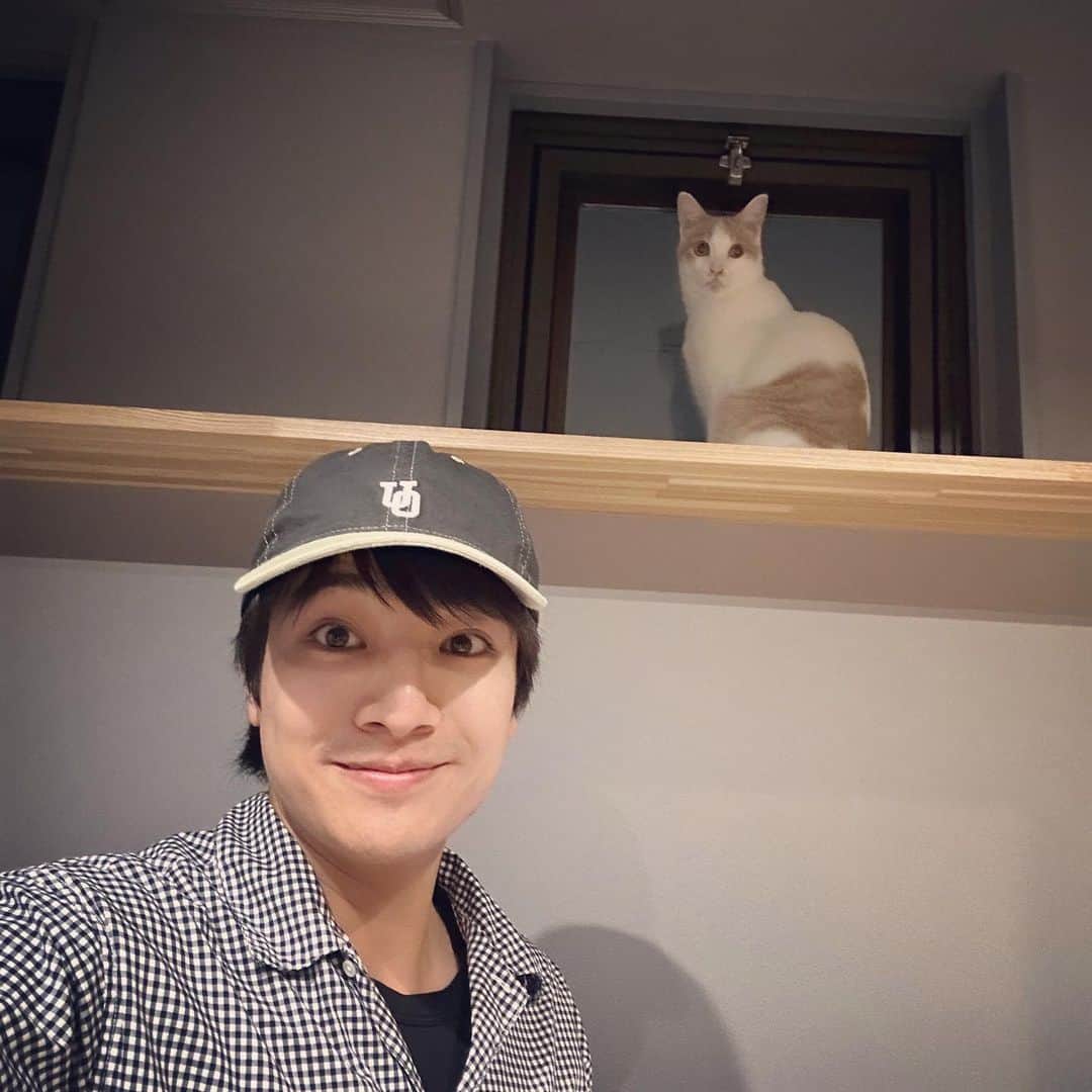 本田剛文さんのインスタグラム写真 - (本田剛文Instagram)「今日の弟達です！  #猫 #猫のいる暮らし #ねこすたぐらむ  #UNIVERSALOVERALL #キャップ #ボイメン #本田剛文」7月13日 21時37分 - boymen_honda