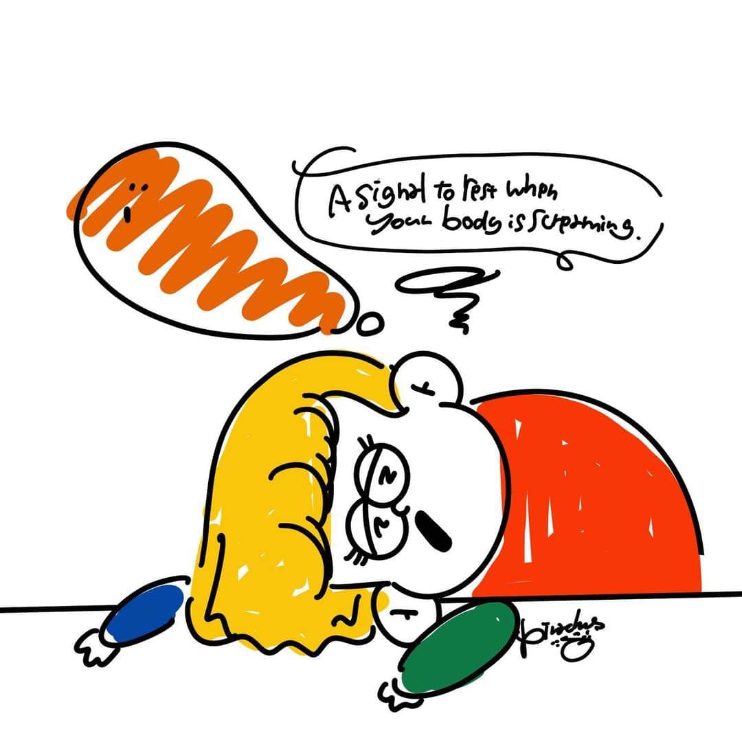 Pirakoのインスタグラム：「🦕🥦🍋🍆🍅 体調崩してましたフッカツです  梅雨明けて本気の夏がやってきてんのかあちいあちいから 美味しいもの沢山食べて水分とって 身体に気をつけてね🥲  そんで最近めっちゃ嬉しいご依頼きたので わーーーーーーい！！！って言いながら 両手上げてお家の中走り回りました😃(?  頑張りまふ 気合い入れろ！！！！！🐶 今日もお疲れ様でした🧖🏼‍♀️🫧」