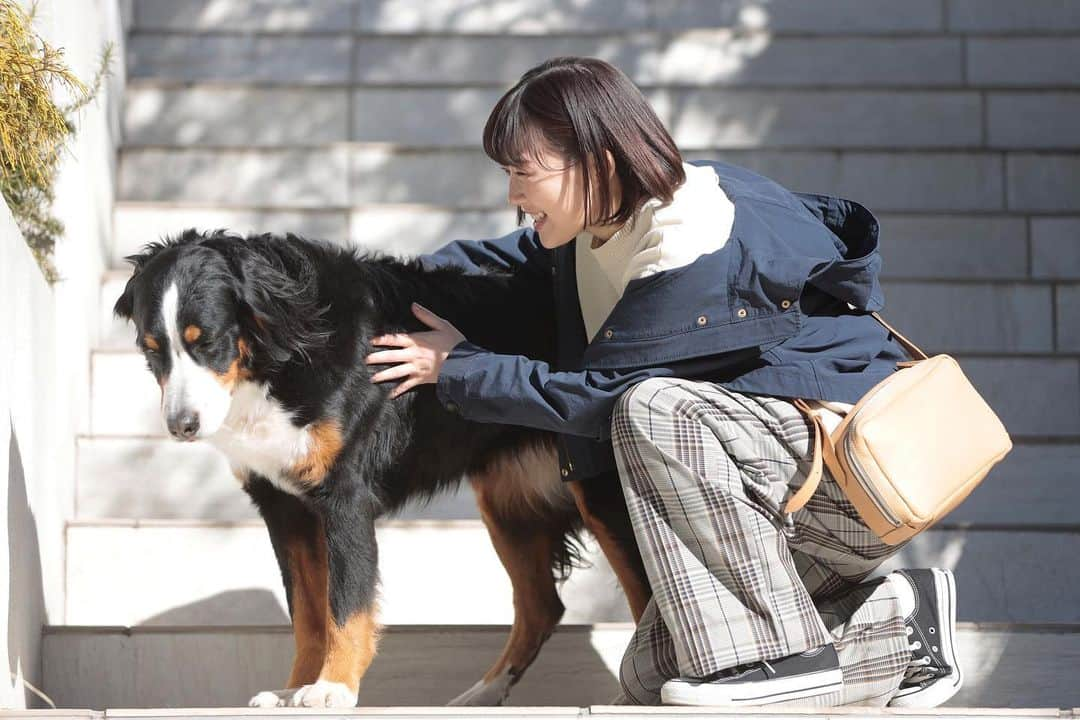 シッコウ!!〜犬と私と執行官〜さんのインスタグラム写真 - (シッコウ!!〜犬と私と執行官〜Instagram)「ひかりちゃんとシルバー🍃 ⁡ ドラマの中と同じくらい、 とても伊藤さんに懐いてました☺️ ⁡ ひかりちゃんvsシルバーの 可愛すぎる攻防戦(？)を もう一度見たい方は、ぜひ見逃し配信へ😂！ ⁡ プロフィール欄のURLからチェックしてみてください🔗 ⁡ #シッコウ!! #伊藤沙莉 #第3話 #7月18日火曜よる9時」7月13日 22時25分 - shikkou_tvasahi