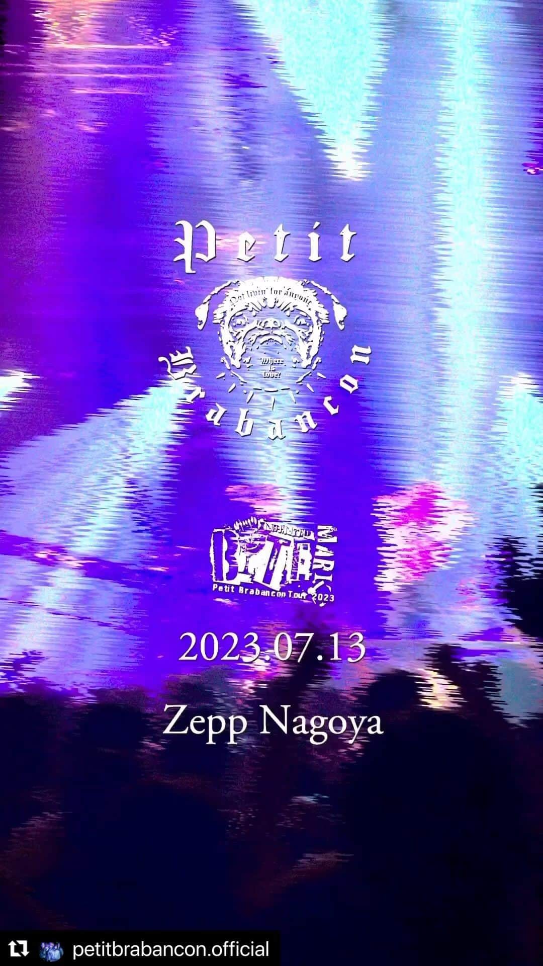 ミヤ のインスタグラム：「#petitbrabancon」