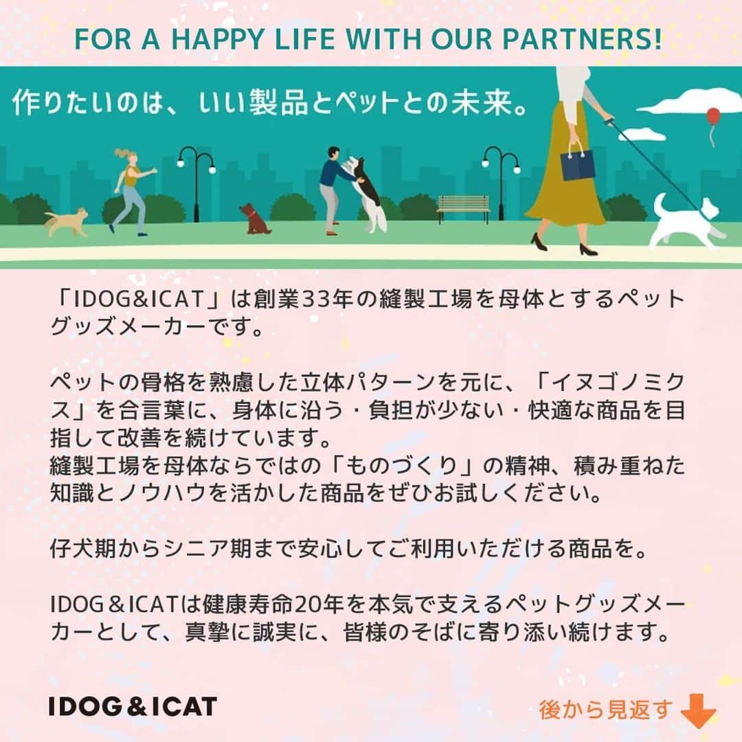 iDog&iCatさんのインスタグラム写真 - (iDog&iCatInstagram)「愛犬との暮らしをもっと楽しく快適に！ IDOG&ICATのお役立ちコラム随時更新中です♪  本日は夏の日差し・紫外線とワンちゃんについて注意すべきことなどをまとめた記事を紹介いたします！  【がんや白内障のリスクも？犬の紫外線対策が必要な理由とおすすめ対策グッズ】  人間と違って犬の身体は被毛に覆われているため、紫外線の影響は受けにくいといえます。 しかし、紫外線による影響がまったくないわけではありません。  この記事では、紫外線に関するさまざまな疑問にお答えしながら、犬のための紫外線対策をおすすめのアイテムとともに詳しく解説していきます。  IDOG&ICATでは様々な紫外線対策にもお使いいただけるアイテムをご用意しております。 是非、ワンちゃんとの暮らしにご利用ください♪  ●保存しておけばいつでも見返せて便利です♪  コラムはIDOG&ICAT公式サイトからご覧いただけます！ https://www.idog.jp/blog/2023/06/02/ultraviolet-rays-dog/  #iDog #IDOGICAT #iCat #犬の服 #犬服 #ペットウェア #犬の服iDog #犬 #うちの子優勝 #わんすたぐらむ #dog #チワワ #トイプードル #ミニチュアダックス #柴犬 #ペット用品 #犬との暮らし #熱中症対策 #夏 #暑さ対策 #ひんやり #ペットベッド #紫外線対策 #紫外線予防 #紫外線」7月13日 14時00分 - idogicat