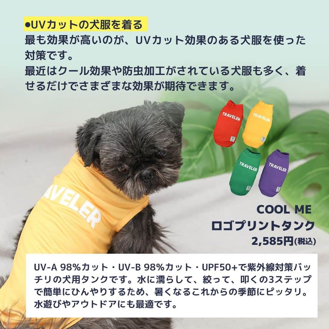 iDog&iCatさんのインスタグラム写真 - (iDog&iCatInstagram)「愛犬との暮らしをもっと楽しく快適に！ IDOG&ICATのお役立ちコラム随時更新中です♪  本日は夏の日差し・紫外線とワンちゃんについて注意すべきことなどをまとめた記事を紹介いたします！  【がんや白内障のリスクも？犬の紫外線対策が必要な理由とおすすめ対策グッズ】  人間と違って犬の身体は被毛に覆われているため、紫外線の影響は受けにくいといえます。 しかし、紫外線による影響がまったくないわけではありません。  この記事では、紫外線に関するさまざまな疑問にお答えしながら、犬のための紫外線対策をおすすめのアイテムとともに詳しく解説していきます。  IDOG&ICATでは様々な紫外線対策にもお使いいただけるアイテムをご用意しております。 是非、ワンちゃんとの暮らしにご利用ください♪  ●保存しておけばいつでも見返せて便利です♪  コラムはIDOG&ICAT公式サイトからご覧いただけます！ https://www.idog.jp/blog/2023/06/02/ultraviolet-rays-dog/  #iDog #IDOGICAT #iCat #犬の服 #犬服 #ペットウェア #犬の服iDog #犬 #うちの子優勝 #わんすたぐらむ #dog #チワワ #トイプードル #ミニチュアダックス #柴犬 #ペット用品 #犬との暮らし #熱中症対策 #夏 #暑さ対策 #ひんやり #ペットベッド #紫外線対策 #紫外線予防 #紫外線」7月13日 14時00分 - idogicat