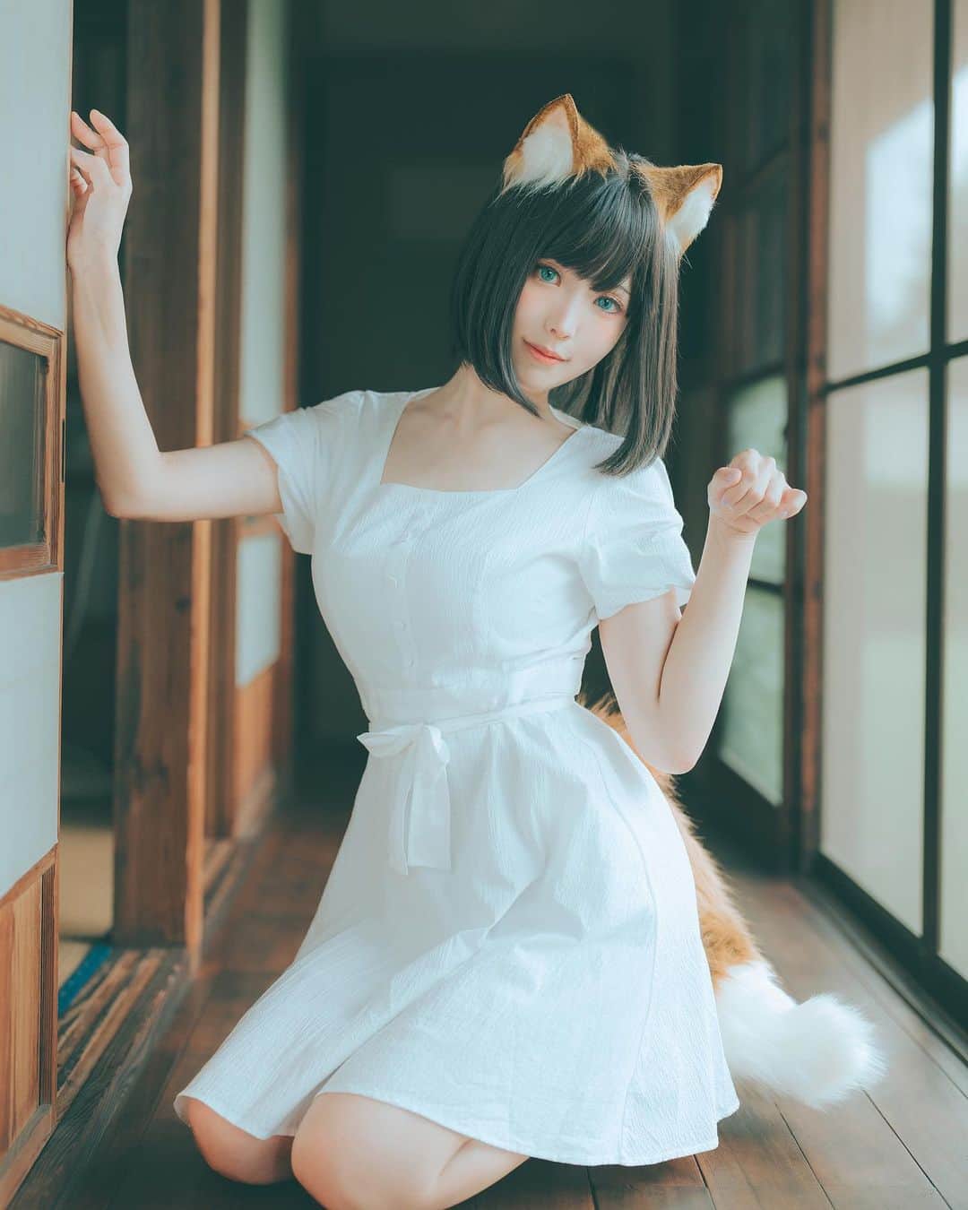 Elyのインスタグラム：「This month, I would like to share with you a Japanese anime ad  that Ely loves , the"Nissin's instant noodles "Donbei"series💗 There appears an extremely cute fox girl.🦊 Subscribe to get all : 𝓛𝓲𝓷𝓴 𝓲𝓷 𝓫𝓲𝓸  ✧～✧～✧ 今月の写真セットには、色々などんぎつねさんが揃っています🤍  ✧～✧～✧ 7月和夏天一起正式到來 這個月想和大家分享一個E很喜歡的日清的泡麵"咚兵衛"廣告系列💗 其中隨著豆皮烏龍麵一起在夏日出現的黑髮狐狸美少女 以及不確定耳朵到底在哪邊大正風俏皮狐狸 兩個廣告都非常可愛~藉由E的cos和大家推廣🦊🦊」