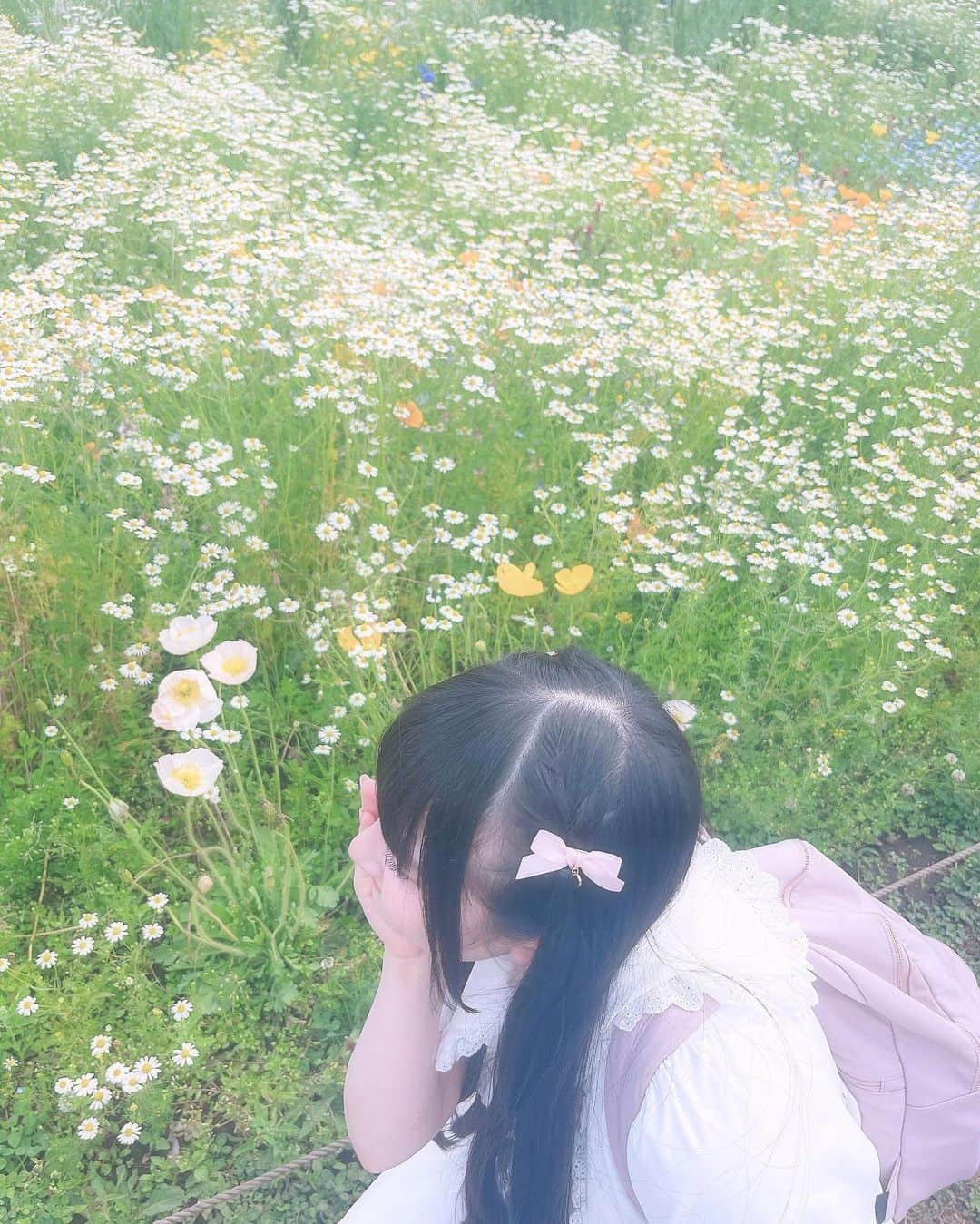 櫻井ももさんのインスタグラム写真 - (櫻井ももInstagram)「🌷🌼🌷🌼🌷  ‪❤︎︎  ‪❤︎︎  ‪❤︎︎  春の思い出🔖 .·  #昭和記念公園 に行ってきたんだ〜🤍  お花畑、リフレッシュできて みんなのんびりしてて ゆっくり過ごせるだいすきな場所💖💖  まだまだ行ってみたいところいっぱいあるし、 夏もお出かけするのが楽しみだなぁ♪  みんなも、行くと元気出るスポットってありますか〜？♡   #ノイミー #きゅんかわ」7月13日 15時10分 - sakurai_momo_