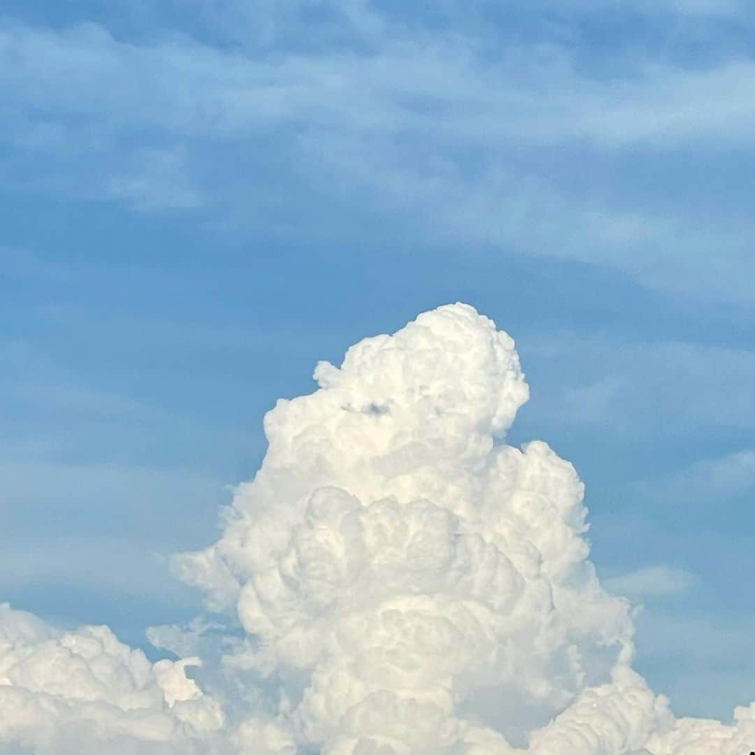 のインスタグラム：「最近天気不安定だし毎日の様に雷光ってる気がする⚡️  あっついねー！」