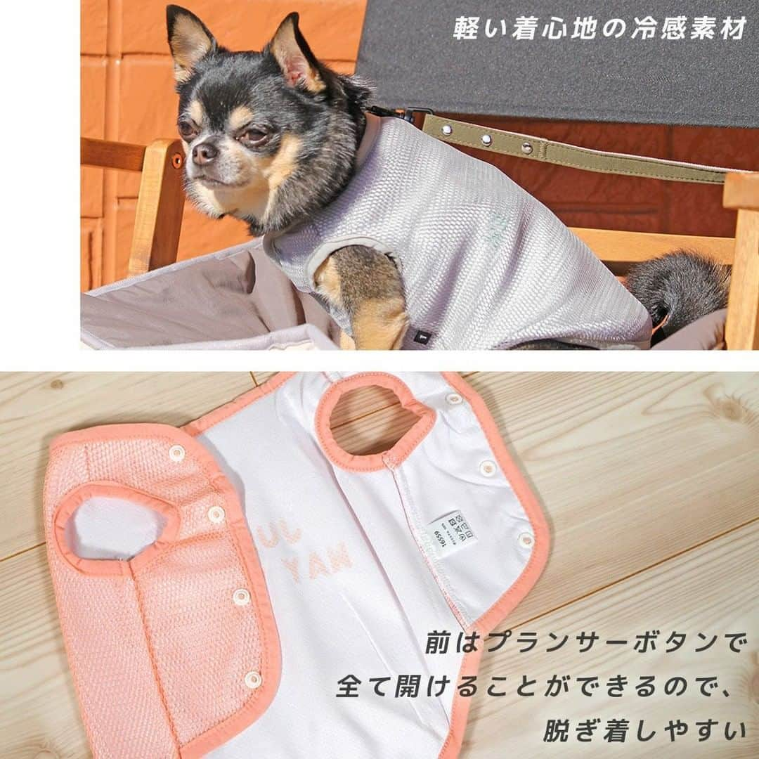 iDog&iCatさんのインスタグラム写真 - (iDog&iCatInstagram)「「AQUA HOLD ひんやり空冷&保水 Wクールタンク」一部再入荷いたしました！  暑い日の外遊びにもピッタリの新機能アイテムがiDogから新発売！ 特許取得構造を利用したひんやり「冷却」タンク「AQUA HOLD PREMIUM」 Ｗクールタンク。  空冷＆保水効果を利用したひんやり冷却タンクで夏も元気に遊ぼう！  この犬用タンクトップは、冷却機能があります。本体を水でぬらすと、乾くまでの間「冷却」する機能があります。  COOLMEのひんやり素材だけでも冷えるのですが、太陽光が当たるとすぐに蒸発してしまいます。 上にメッシュ生地を重ねることで、太陽光を遮り水分の蒸発を効果的に冷却に利用するところが特徴です。 ※この繊維構造は特許登録されています。「特許登録 第５５５１８１６号」  乾いたときは水に濡らせば冷却能力が復活します。  背中にはロゴプリント、裾には「AQUA HOLD」のネームタグ付きです。 袖口・首周り・裾はストレッチテープのバインダー仕様で仕上げてあります。 前は軽いプランサーボタンで全て開けることができるので、脱ぎ着しやすいです。 重くなりすぎないように、軽い素材で仕上げてあります。  抗菌・消臭はもちろんUV-A 98％カット・UV-B 98％カット・UPF50+で紫外線対策もバッチリです。  クールウェアは、特に暑さに弱いフレブルやパグ等の短頭種、短毛の子、黒い毛色の子にもぴったり。ペットに有害な素材を内包していないので、噛み癖のある子も安全に着用できます。冷感UVカットウェアを着用することでペットの健康管理にもつながります。  ※抗菌加工は商品によってウイルス感染を防ぐものではありません。商品に付着した菌を無害化する商品です。  商品番号/16559- 商品名/AQUA HOLD ひんやり空冷&保水 Wクールタンク 3,300円(税込)  #iDog #iDogiCat #iCat #ペット服 #ドッグウェア #新作 #春夏新作 #犬服 #犬の服 #犬の服iDog #うちの子優勝 #ひんやり #ひんやり冷感 #冷感 #UV加工 #UVカット」7月13日 15時48分 - idogicat