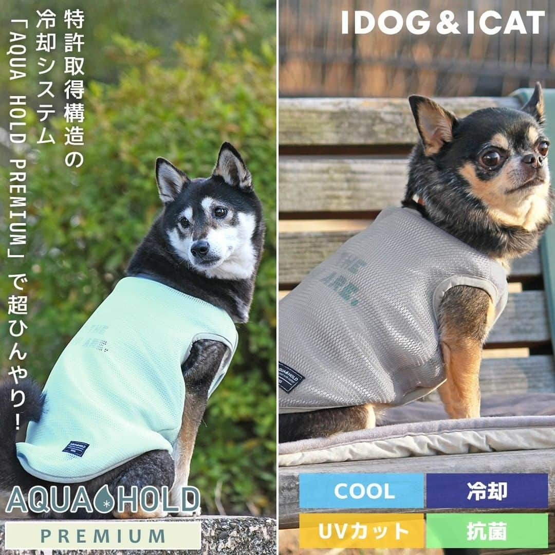 iDog&iCatさんのインスタグラム写真 - (iDog&iCatInstagram)「「AQUA HOLD ひんやり空冷&保水 Wクールタンク」一部再入荷いたしました！  暑い日の外遊びにもピッタリの新機能アイテムがiDogから新発売！ 特許取得構造を利用したひんやり「冷却」タンク「AQUA HOLD PREMIUM」 Ｗクールタンク。  空冷＆保水効果を利用したひんやり冷却タンクで夏も元気に遊ぼう！  この犬用タンクトップは、冷却機能があります。本体を水でぬらすと、乾くまでの間「冷却」する機能があります。  COOLMEのひんやり素材だけでも冷えるのですが、太陽光が当たるとすぐに蒸発してしまいます。 上にメッシュ生地を重ねることで、太陽光を遮り水分の蒸発を効果的に冷却に利用するところが特徴です。 ※この繊維構造は特許登録されています。「特許登録 第５５５１８１６号」  乾いたときは水に濡らせば冷却能力が復活します。  背中にはロゴプリント、裾には「AQUA HOLD」のネームタグ付きです。 袖口・首周り・裾はストレッチテープのバインダー仕様で仕上げてあります。 前は軽いプランサーボタンで全て開けることができるので、脱ぎ着しやすいです。 重くなりすぎないように、軽い素材で仕上げてあります。  抗菌・消臭はもちろんUV-A 98％カット・UV-B 98％カット・UPF50+で紫外線対策もバッチリです。  クールウェアは、特に暑さに弱いフレブルやパグ等の短頭種、短毛の子、黒い毛色の子にもぴったり。ペットに有害な素材を内包していないので、噛み癖のある子も安全に着用できます。冷感UVカットウェアを着用することでペットの健康管理にもつながります。  ※抗菌加工は商品によってウイルス感染を防ぐものではありません。商品に付着した菌を無害化する商品です。  商品番号/16559- 商品名/AQUA HOLD ひんやり空冷&保水 Wクールタンク 3,300円(税込)  #iDog #iDogiCat #iCat #ペット服 #ドッグウェア #新作 #春夏新作 #犬服 #犬の服 #犬の服iDog #うちの子優勝 #ひんやり #ひんやり冷感 #冷感 #UV加工 #UVカット」7月13日 15時48分 - idogicat