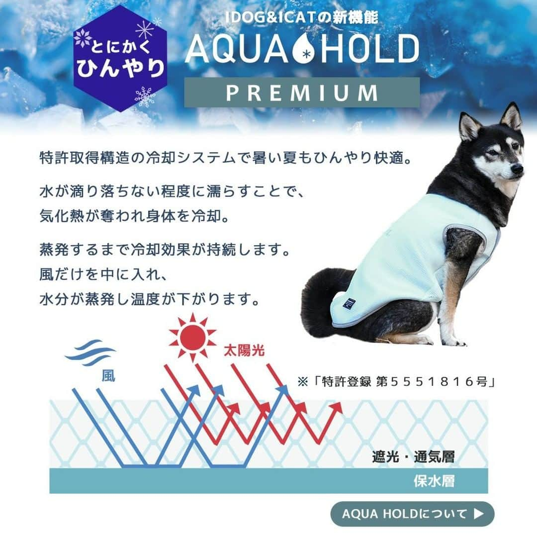 iDog&iCatさんのインスタグラム写真 - (iDog&iCatInstagram)「「AQUA HOLD ひんやり空冷&保水 Wクールタンク」一部再入荷いたしました！  暑い日の外遊びにもピッタリの新機能アイテムがiDogから新発売！ 特許取得構造を利用したひんやり「冷却」タンク「AQUA HOLD PREMIUM」 Ｗクールタンク。  空冷＆保水効果を利用したひんやり冷却タンクで夏も元気に遊ぼう！  この犬用タンクトップは、冷却機能があります。本体を水でぬらすと、乾くまでの間「冷却」する機能があります。  COOLMEのひんやり素材だけでも冷えるのですが、太陽光が当たるとすぐに蒸発してしまいます。 上にメッシュ生地を重ねることで、太陽光を遮り水分の蒸発を効果的に冷却に利用するところが特徴です。 ※この繊維構造は特許登録されています。「特許登録 第５５５１８１６号」  乾いたときは水に濡らせば冷却能力が復活します。  背中にはロゴプリント、裾には「AQUA HOLD」のネームタグ付きです。 袖口・首周り・裾はストレッチテープのバインダー仕様で仕上げてあります。 前は軽いプランサーボタンで全て開けることができるので、脱ぎ着しやすいです。 重くなりすぎないように、軽い素材で仕上げてあります。  抗菌・消臭はもちろんUV-A 98％カット・UV-B 98％カット・UPF50+で紫外線対策もバッチリです。  クールウェアは、特に暑さに弱いフレブルやパグ等の短頭種、短毛の子、黒い毛色の子にもぴったり。ペットに有害な素材を内包していないので、噛み癖のある子も安全に着用できます。冷感UVカットウェアを着用することでペットの健康管理にもつながります。  ※抗菌加工は商品によってウイルス感染を防ぐものではありません。商品に付着した菌を無害化する商品です。  商品番号/16559- 商品名/AQUA HOLD ひんやり空冷&保水 Wクールタンク 3,300円(税込)  #iDog #iDogiCat #iCat #ペット服 #ドッグウェア #新作 #春夏新作 #犬服 #犬の服 #犬の服iDog #うちの子優勝 #ひんやり #ひんやり冷感 #冷感 #UV加工 #UVカット」7月13日 15時48分 - idogicat