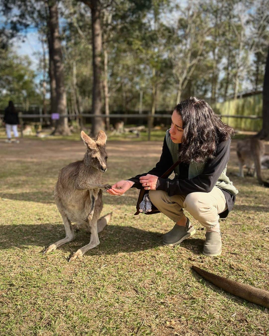 レオ・ルカ・スフォルツァさんのインスタグラム写真 - (レオ・ルカ・スフォルツァInstagram)「Lone pine koala sanctuary 😍」7月13日 16時27分 - leolucasforza