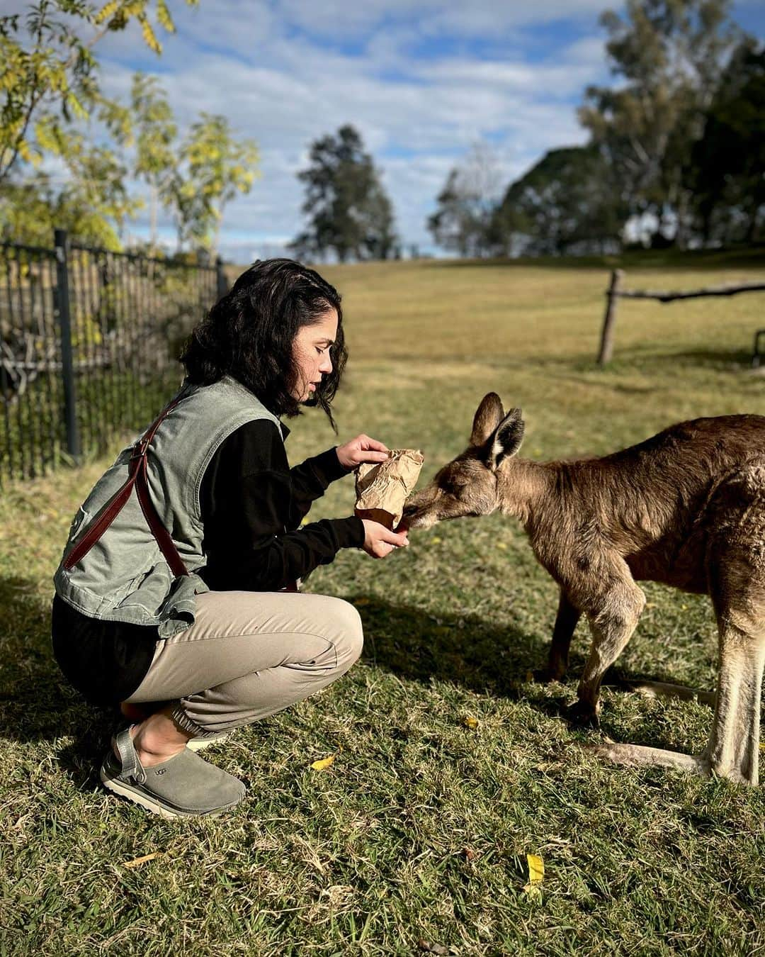 レオ・ルカ・スフォルツァさんのインスタグラム写真 - (レオ・ルカ・スフォルツァInstagram)「Lone pine koala sanctuary 😍」7月13日 16時27分 - leolucasforza