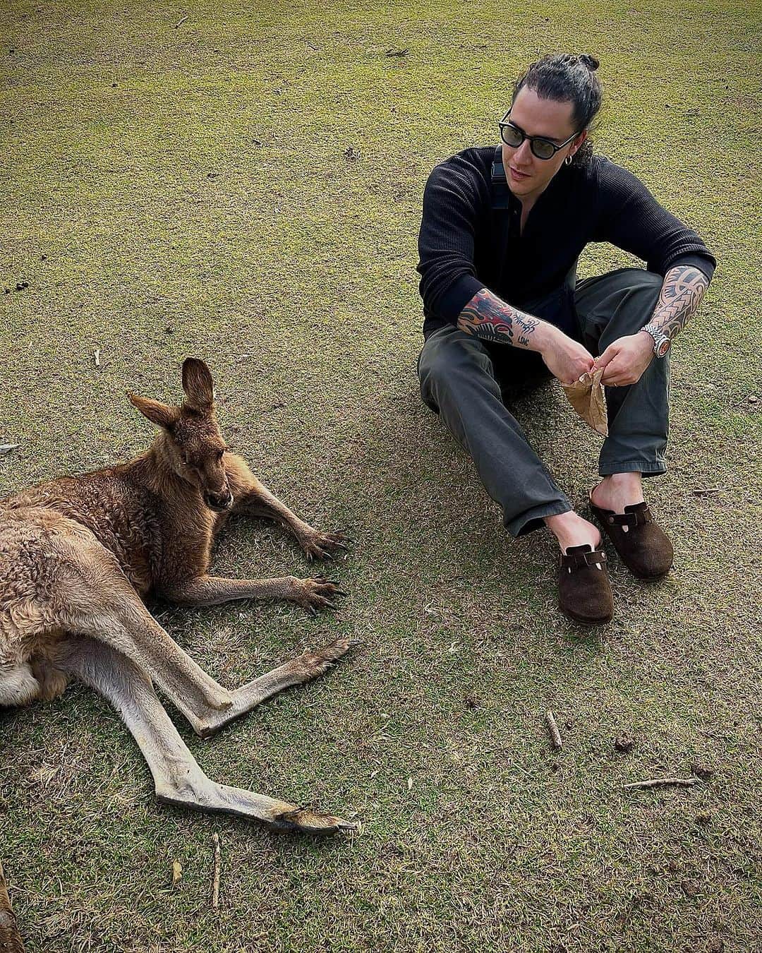 レオ・ルカ・スフォルツァのインスタグラム：「Lone pine koala sanctuary 😍」