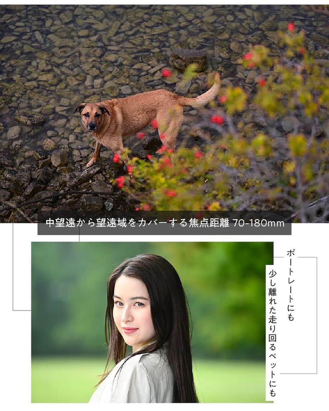 ニコンイメージングジャパン公式さんのインスタグラム写真 - (ニコンイメージングジャパン公式Instagram)「新登場【NIKKOR Z 70-180mm f/2.8】   小型・軽量の開放F値2.8一定の望遠ズームレンズ「NIKKOR Z 70-180mm f/2.8」が新登場。   中望遠から望遠域をカバーする焦点距離70-180mmは、ポートレートや日常スナップに最適なだけでなく、子どもの運動会や走り回るペットのような少し遠くの被写体の撮影まで対応可能。   全長は約151mm、質量は約795gと小型・軽量なので、旅行の相棒としてもぴったりです。   また、最短撮影距離は広角端で0.27m、望遠端で0.85m。最短撮影距離でもAFが可能なのも特長で、クローズアップ撮影も快適に行えます。   開放F値2.8一定が生む大きく柔らかいボケと明るさを活かして日常シーンでの創造性を広げる、万能な1本です。     ＜製品名＞ NIKKOR Z 70-180mm f/2.8   ＜製品情報＞ https://www.nikon-image.com/products/nikkor/zmount/nikkor_z_70-180mm_f28/   #Nikon #ニコン #カメラ #camera #nikoncreators #新発売 #newrelease #新登場 #新入り #新製品 #新レンズ #レンズ #ズームレンズ #cameralens #玉ボケ #丸ボケ #ポートレート #スナップ撮影 #クローズアップ #スポーツ撮影」7月14日 11時00分 - nikonjp