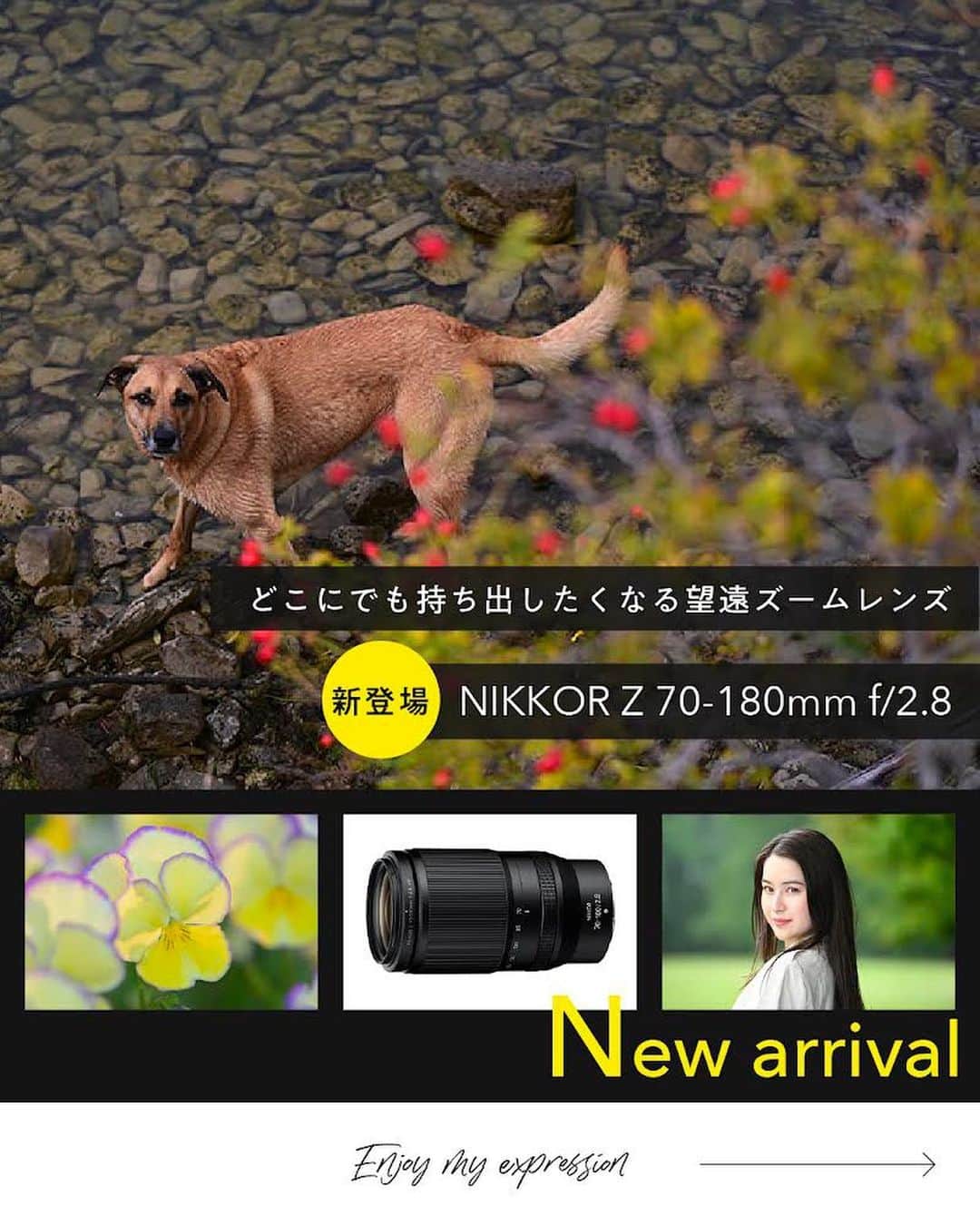 ニコンイメージングジャパン公式さんのインスタグラム写真 - (ニコンイメージングジャパン公式Instagram)「新登場【NIKKOR Z 70-180mm f/2.8】   小型・軽量の開放F値2.8一定の望遠ズームレンズ「NIKKOR Z 70-180mm f/2.8」が新登場。   中望遠から望遠域をカバーする焦点距離70-180mmは、ポートレートや日常スナップに最適なだけでなく、子どもの運動会や走り回るペットのような少し遠くの被写体の撮影まで対応可能。   全長は約151mm、質量は約795gと小型・軽量なので、旅行の相棒としてもぴったりです。   また、最短撮影距離は広角端で0.27m、望遠端で0.85m。最短撮影距離でもAFが可能なのも特長で、クローズアップ撮影も快適に行えます。   開放F値2.8一定が生む大きく柔らかいボケと明るさを活かして日常シーンでの創造性を広げる、万能な1本です。     ＜製品名＞ NIKKOR Z 70-180mm f/2.8   ＜製品情報＞ https://www.nikon-image.com/products/nikkor/zmount/nikkor_z_70-180mm_f28/   #Nikon #ニコン #カメラ #camera #nikoncreators #新発売 #newrelease #新登場 #新入り #新製品 #新レンズ #レンズ #ズームレンズ #cameralens #玉ボケ #丸ボケ #ポートレート #スナップ撮影 #クローズアップ #スポーツ撮影」7月14日 11時00分 - nikonjp