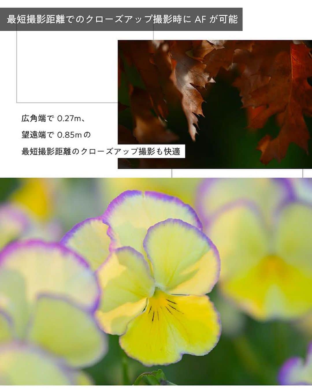 ニコンイメージングジャパン公式さんのインスタグラム写真 - (ニコンイメージングジャパン公式Instagram)「新登場【NIKKOR Z 70-180mm f/2.8】   小型・軽量の開放F値2.8一定の望遠ズームレンズ「NIKKOR Z 70-180mm f/2.8」が新登場。   中望遠から望遠域をカバーする焦点距離70-180mmは、ポートレートや日常スナップに最適なだけでなく、子どもの運動会や走り回るペットのような少し遠くの被写体の撮影まで対応可能。   全長は約151mm、質量は約795gと小型・軽量なので、旅行の相棒としてもぴったりです。   また、最短撮影距離は広角端で0.27m、望遠端で0.85m。最短撮影距離でもAFが可能なのも特長で、クローズアップ撮影も快適に行えます。   開放F値2.8一定が生む大きく柔らかいボケと明るさを活かして日常シーンでの創造性を広げる、万能な1本です。     ＜製品名＞ NIKKOR Z 70-180mm f/2.8   ＜製品情報＞ https://www.nikon-image.com/products/nikkor/zmount/nikkor_z_70-180mm_f28/   #Nikon #ニコン #カメラ #camera #nikoncreators #新発売 #newrelease #新登場 #新入り #新製品 #新レンズ #レンズ #ズームレンズ #cameralens #玉ボケ #丸ボケ #ポートレート #スナップ撮影 #クローズアップ #スポーツ撮影」7月14日 11時00分 - nikonjp