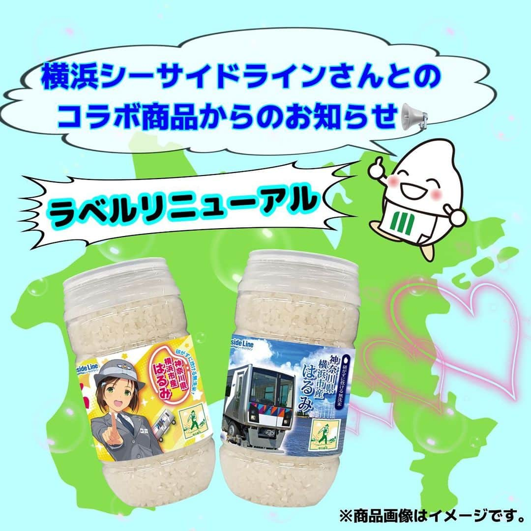 ミツハシくん-Mitsuhashi Rice-のインスタグラム：「横浜シーサイドラインさんとのコラボ商品からのお知らせ📢  柴口このみデザインの「ボトル米」 本日より第二弾が発売‼️  メインラベル2種、キャップラベル5種のデザインが全て変更になったよ✨ 鉄道むすめ「柴口このみ」に シーサイドラインの「2000型車両」が ラベルに加わり、 より一層シーサイドラインを感じられるデザインなんだ🚃  お米は「横浜市産はるみ」を使用🌾  横浜のお土産に BBQやキャンプにも！ 自動販売機でいつでも購入できるよ🎁  是非みんなデザインコンプリートしてみてね❤️  【販売駅】 新杉田駅・鳥浜駅・幸浦駅・海の公園南口駅・金沢八景駅 . #ミツハシライス  #企業キャラクター  #ミツハシくん   #神奈川県 #はるみ  #横浜地産  #地産地消  #横浜農場   #横浜シーサイドライン  #ボトル米  #自動販売機 #自販機  #自販機で買える   #鉄道むすめ  #柴口このみ   #お米 #米 #rice #ご飯」