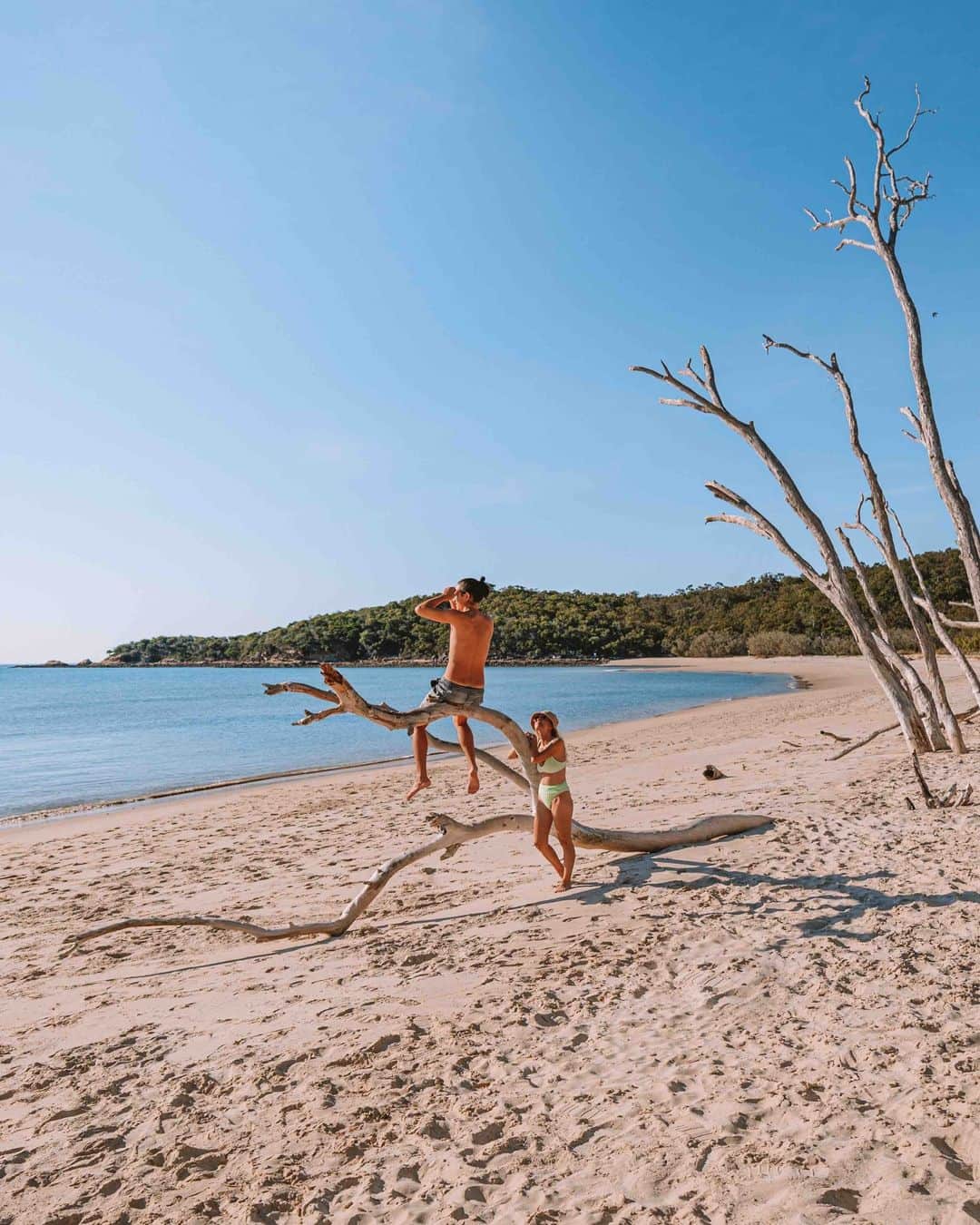Australiaのインスタグラム：「Drumroll, please....! 🥁 In exciting news, @travelandleisure have dropped their annual 'The World's Best Awards' and not to brag or anything, but #Australia absolutely aced it! The prestigious title of reader's 'Favourite Island in the World', as well as in the Australia, NZ, and the South Pacific category, goes to none other than @Queensland's stunning @gbrmarinepark islands 🌴Meanwhile, @tasmania's capital @hobartandbeyond, has made its mark as one of the reader's 'Favourite Cities in the World'. But wait, there's more! #Hobart, @sydney, and @visitmelbourne have secured their spots among the top five 'Favourite Cities in Australia, New Zealand, and the South Pacific'. And as if that's not enough, #Sydney has earned a well-deserved place in the limelight with its 'Top Three Hotels' for Australia and New Zealand. Now, THAT deserves a standing ovation. 👏 #seeaustralia #comeandsaygday」