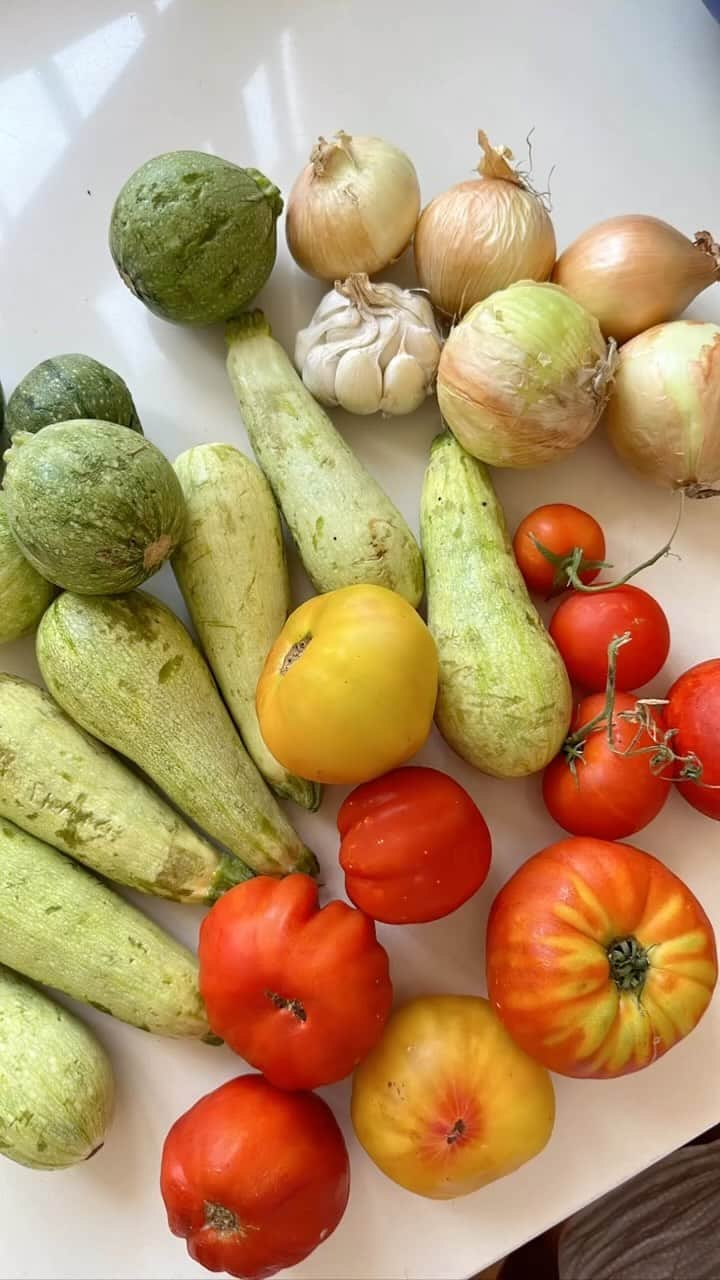 ジョエル・マーディニアンのインスタグラム：「Atyab Akleh 😋 Kousa be Banadoura 😋  Cut courgette into small cubes  Chop a lot of onions 🧅 and fry until soft Add salt whilst frying onions 🧂  Once onion cooked add courgette and mix all together over high heat for few minutes. Add freshly chopped tomatoes 🍅  Cover and simmer for 15 to 20 minutes. Once courgette is cooked but firm add mashed garlic and at least 3 to 5 table spoons of dried mint, add olive oil, cover and simmer on low heat for just 2 minutes.  Wait 10 minutes before you serve 😋😋😋 and enjoy 😉 try it and tell me what you think ❤️ Bon appetit 😋   #love #kousa #yum #yummy #lebanese #lebanesefood #lebanesecuisine #joellemardinian #جويل #جويل_مردينيان #جويل_ماردينيان」