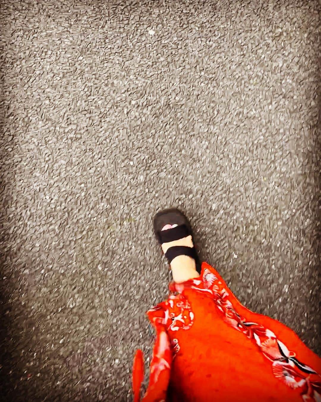JILLのインスタグラム：「今日はプールに🏊‍♀️行ってきましたぁ。  その前に今朝、窓辺で てんとう虫さんを🐞見つけて 手を差し出したら しばらく乗ってたよん。 このあと、 窓の外に逃してあげましたぁ👋  なんか小学生の 夏休みぃ〜みたいな日でした。 あれ、蝉はまだ泣いてないねぇ。　  LADYBUG、てんとう虫が 身体に止まると スピリチュアルなお告げらしい🙏 なんだろなぁ〜  7月22日-仙台rensaホール 7月23日_函館金森ホール —————————————- PERSONZ「I AM THE BEST TOUR」 6月18日_高知県立県民文化ホール グリーンホール 6月24日_札幌CUBE GARDEN 7月02日_ヒューリックホール東京 7月22日-仙台rensaホール 7月23日_函館金森ホール 8月04日_名古屋ダイアモンドホール 8月05日_大阪クラブクワトロ 8月11日_新潟LOTS 8月12日_高崎芸術劇場スタジオシアター 8月26日_福岡電気みらいホール —————————————-  #jillpersonz  #personz  #youtubepersonzチャンネル #note  #jillpersonz  #エアプレ #JILLプレ #ラジオ高崎 #三味線jill屋」