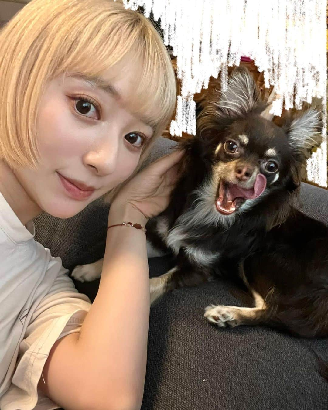 佐藤詩織さんのインスタグラム写真 - (佐藤詩織Instagram)「わん元気🐶」7月13日 18時45分 - shiori_sato_artwork