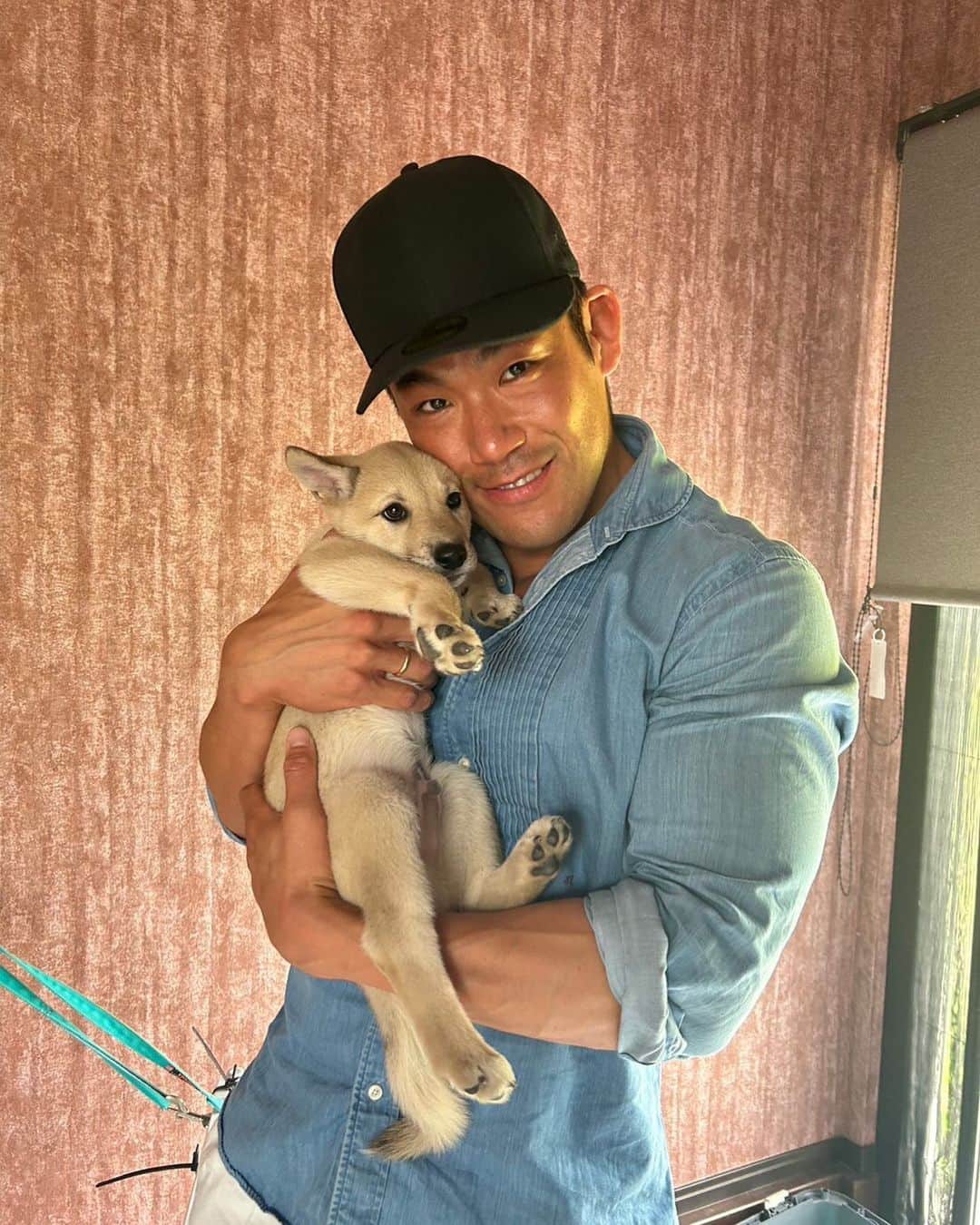 のインスタグラム：「かかかわちぃ。  #子犬 #保護犬」