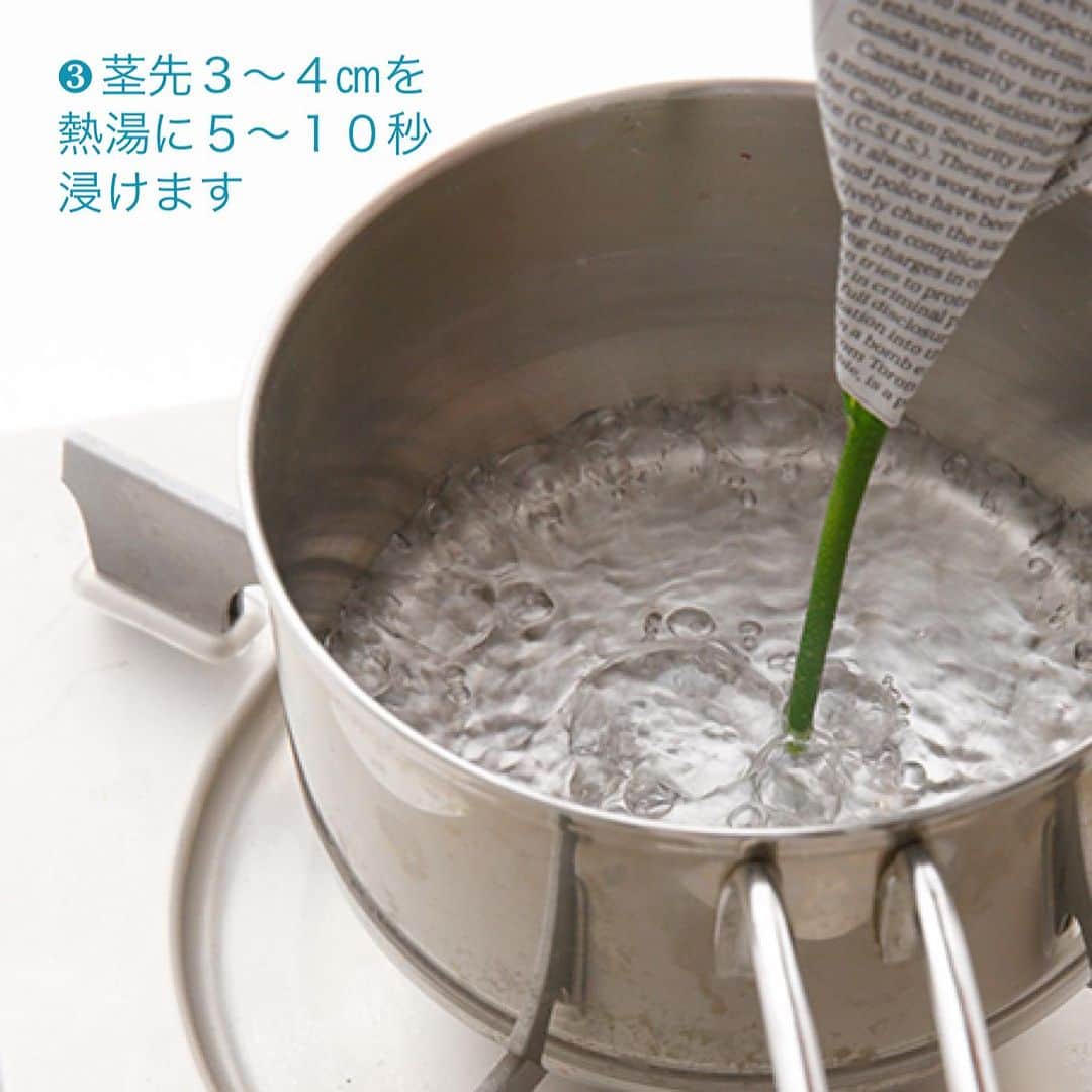 雑誌『花時間』さんのインスタグラム写真 - (雑誌『花時間』Instagram)「買ったばかりの花なのに、しおしお、ぐったり…。だからって、すぐにポイっと🗑️するのは、かわいそうですよね。  花時間（@hanajikan_magazine）です。  ぜひ、試してほしいレスキュー🛟方法は「湯あげ♨️」！  茎を熱湯に浸して、水があがるようにすることが、名前の由来なのですが、えっ😱　ホントですか？というくらいの回復ぶりに目が点になりますよ。  ステップは、スライドをご覧くださいね。  ぐったり、しょぼんとした花は、茎の中の水の通り道に不純物や空気が交じり、うまく水を吸い上げられないでいます。  湯あげをすることで、道管内の空気圧が変わり、邪魔者の不純物や空気を押し出せるんです。  湯あげ後のお花にインタビューすれば、「あーさっぱり！いい湯♨️だな？」（笑）  ただし、よかれと思ってやった湯あげも、やり方しだいで元気のない花に追い打ちをかけることにもなります😢  大事なのは、湯気を花や葉に当てないこと！  新聞紙は、そのためのガード役。裾は隙間なく、きっちりと巻いてね！  新聞紙がない場合には、湯気が当たらないように、茎を斜めに持って、湯あげしてください。  水に移して、しゃっきりしたら、お湯で変色した部分より上で再度切り直してから、いけましょう。  簡単ですよ！  なお、湯あげは、茎が太い花や水分が多い花には不向き。草花でぜひ、お試しください。  では、本日もお疲れさまでした🍉　明日も暑さに負けず、元気smile😊😊😊で頑張りましょう！ by ピーターパン  【花時間ニュース】 💜『花時間』から、花の定期便がスタートしました🥰　世界でここだけのバラと旬花が届く嬉しいサービスです💕  💜『花時間2023春夏』〈春のピンク！夏のブルー！〉大好評発売中！  💜『花と短歌でめぐる 二十四節気 花のこよみ』大好評発売中  すべて @hanajikan_magazine のプロフィールのリンクから飛べます✈️  『花時間』本誌や書籍は全国の書店、ネット書店でも発売中✨  #花時間 #フラワーアレンジ #花のお手入れ #水あげ #湯あげ #花が好き #花が好きな人と繋がりたい #花を飾る #花を飾る生活 #花屋さんへ行こう」7月13日 18時58分 - hanajikan_magazine
