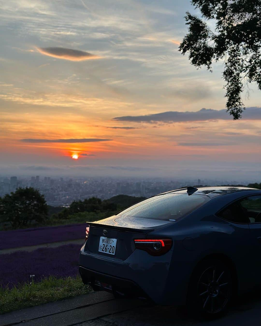 清水宏保のインスタグラム：「札幌市中央区【幌見峠】  ラベンダーの時期です。  #トヨタ86 #toyota86 #86 #幌見峠  #札幌  #札幌観光  #86brz  #brz  #スバル #スバルbrz」