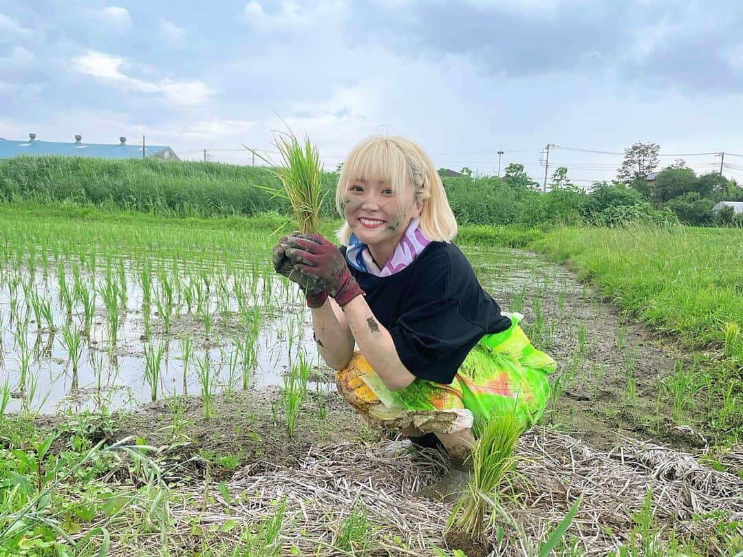 万喜なつみのインスタグラム：「ぽいの夏休み🌾☀️  #田植え体験 #なつぽい #natsupoi #職業体験」