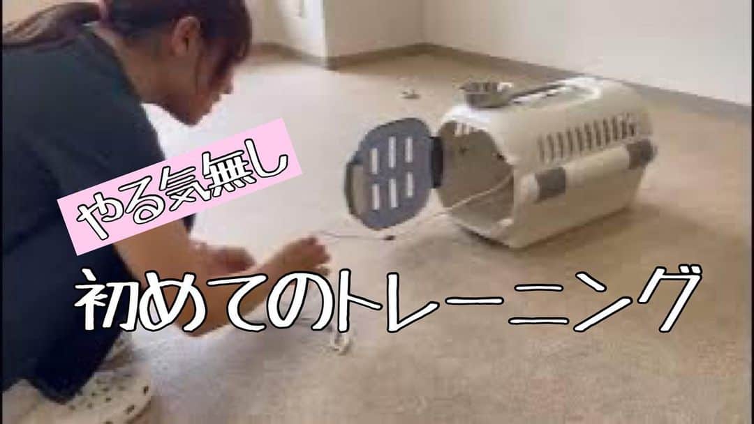 宇野樹のインスタグラム
