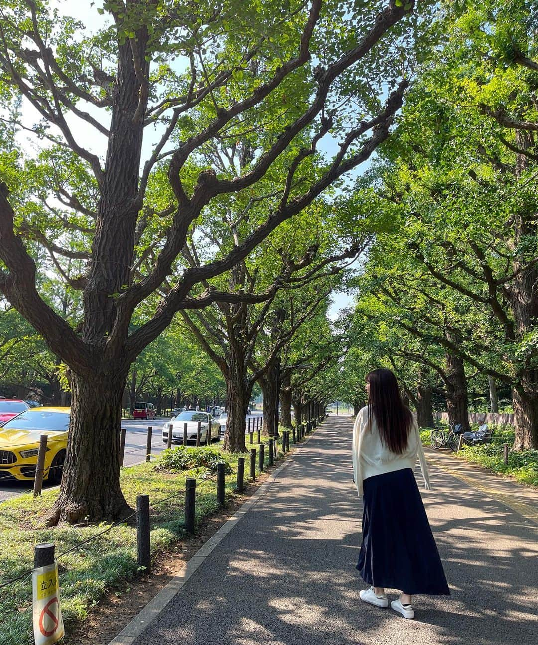 小泉里奈さんのインスタグラム写真 - (小泉里奈Instagram)「夏だね🍃✴︎  #外苑前 #外苑前いちょう並木 #外苑前カフェ #青山カフェ #東京カフェ巡り #散歩日和 #緑のある暮らし #木漏れ日 #東京カメラ部 #カメラ散歩 #カメラ女子 #ポートレート #japan_of_insta #jp_portrait部 #lovers_nippon #japan_daytime_view」7月13日 20時59分 - koizumi_rina