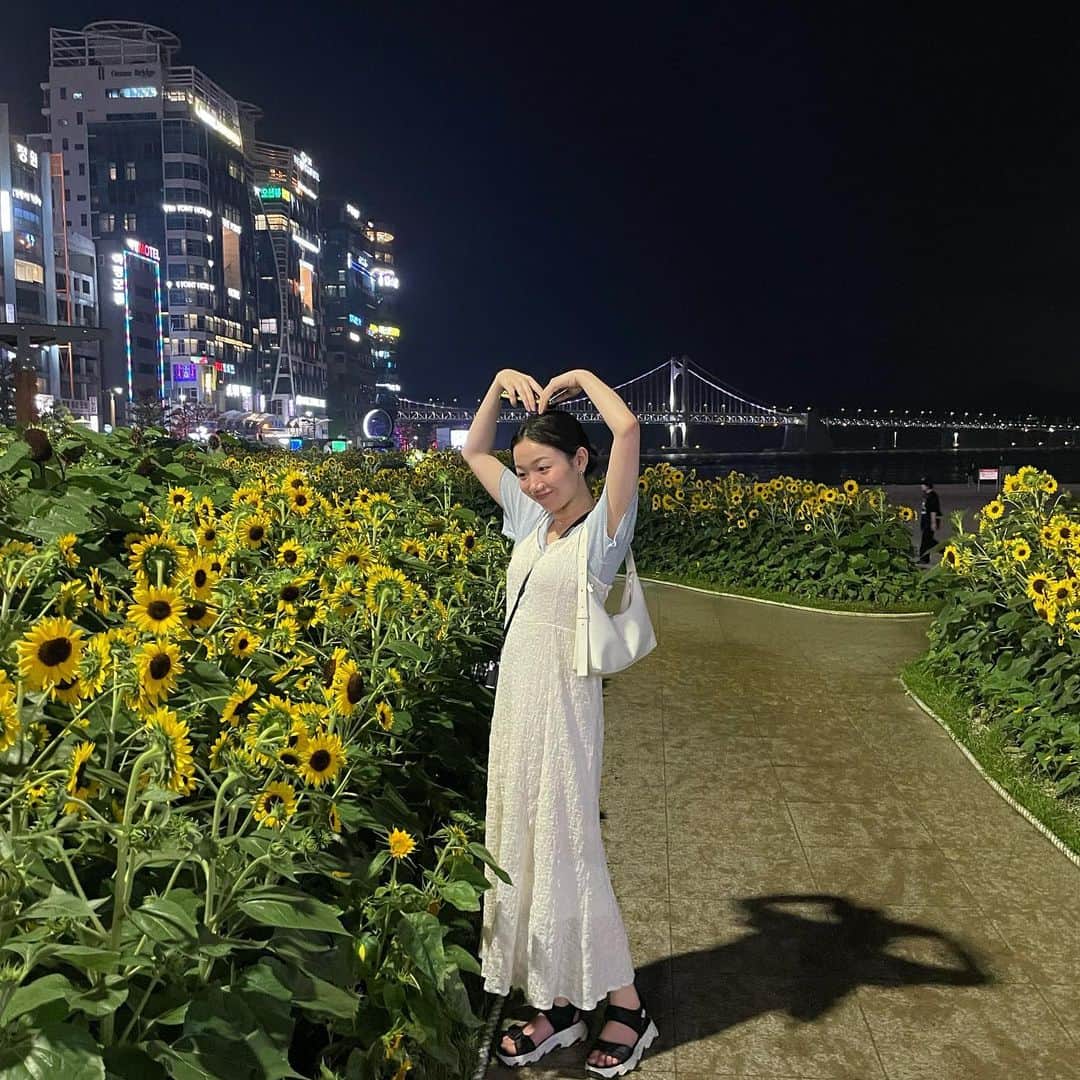 UNAさんのインスタグラム写真 - (UNAInstagram)「釜山でお酒爆飲みしてからの散歩は気分良すぎて最終的には向日葵にハート届けてた笑  #釜山」7月13日 21時09分 - 0314una