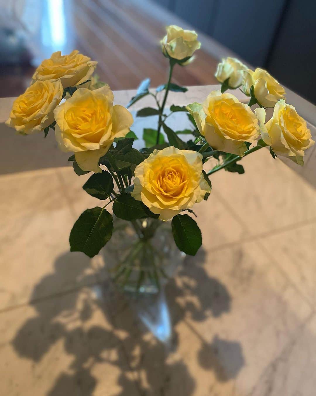 遠海まりこのインスタグラム：「玄関を開けると薔薇。 こういう小さなことが一日の疲れを取り除いてくれるよね。  そろそろお休み取らないと倒れそうです🤍  #薔薇 #お花 #エントランス #黄色薔薇」