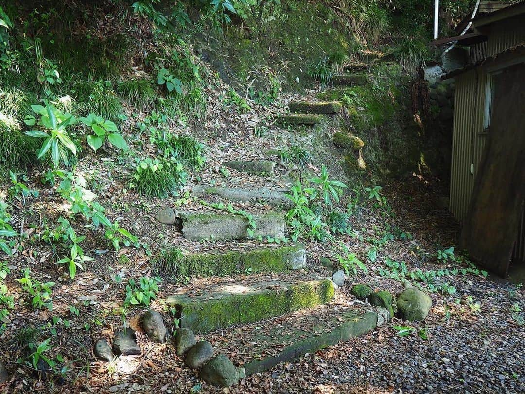 ちゃたさんのインスタグラム写真 - (ちゃたInstagram)「travel Photo✈️  川遊びの後…あゆづくし🏞️  This is a photo I took with a single-lens reflex camera as a hobby!  Please fly from this tag for 2nd account for photos  OLYMPUSカメラをゲットして4回目の撮影。 カメラ初心者〜やっとカメラもってお出かけできた！ こちらは趣味でとった写真です。 カメラ仲間募集中！サブ垢も遊びきてね！  🏷2ndaccount📸 @chata.13_insta   #travelphotography #お洒落 #空間 #風景写真 #自然 #自然好きな人と繋がりたい #自然好き #綺麗な景色 #river#Green #綺麗な風景 #写真好きな人と繋がりたい #natural #flower #foryou #portraitphotography #beautifulworld #beautiful #beautifuljapan #オリンパス女子 #風景 #食べスタグラム #オリンパス #紡ぐ#旅女 #川遊び #旅行好きな人と繋がりたい #古民家リノベーション #やな #食べ歩き」7月14日 7時36分 - c.h.a.t.a.13