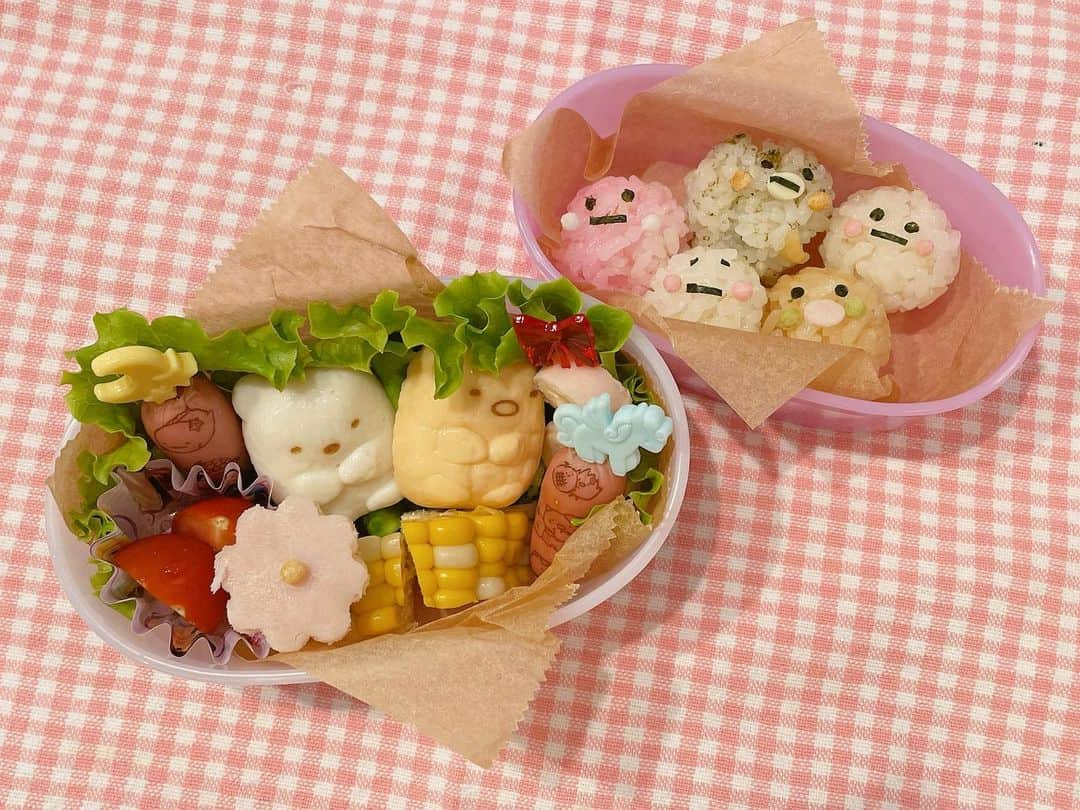 杉岡沙絵子のインスタグラム：「👧🎀💕 　 　 遠足楽しんでね🥰 　 　 ・ ・ #すみっコぐらし弁当#遠足弁当 #年少さん弁当」