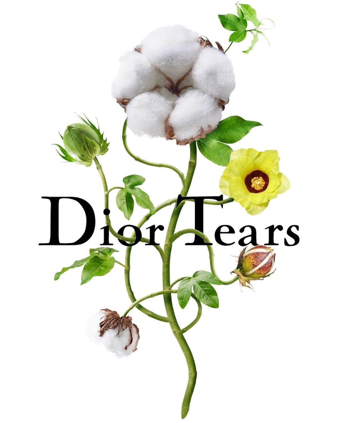 東信さんのインスタグラム写真 - (東信Instagram)「DIOR TEARS  You can get special digi-bouquets only for Dior Tears pop-up! created by our team @amfc_metaflorist  Dior Tears Tokyo pop-up  Location : 6-35-6, Jingumae, Shibuya-ku, Tokyo Date : 12-30 July, 2023  Time : 11:00-20:00  @dior #azumamakoto  #amkk #dior #diortears #amfcmetaflorist #tokyo」7月14日 7時42分 - azumamakoto