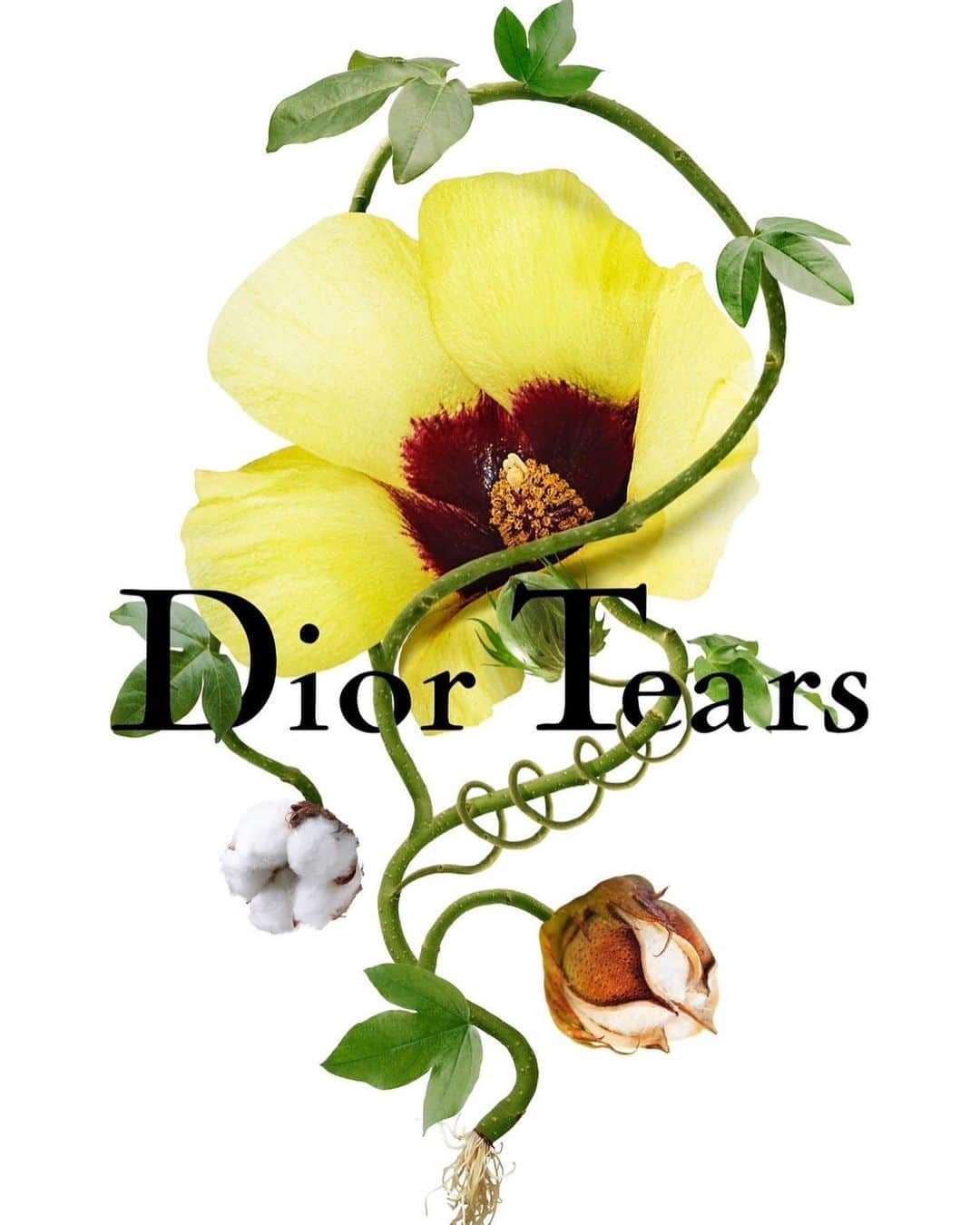 東信のインスタグラム：「DIOR TEARS  You can get special digi-bouquets only for Dior Tears pop-up! created by our team @amfc_metaflorist  Dior Tears Tokyo pop-up  Location : 6-35-6, Jingumae, Shibuya-ku, Tokyo Date : 12-30 July, 2023  Time : 11:00-20:00  @dior #azumamakoto  #amkk #dior #diortears #amfcmetaflorist #tokyo」