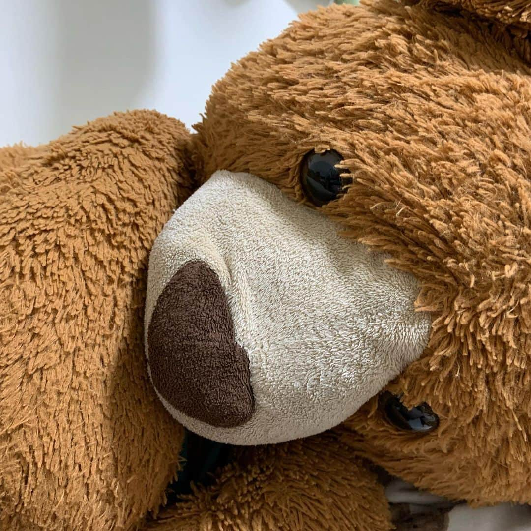 ウネモトモネさんのインスタグラム写真 - (ウネモトモネInstagram)「🐻🐻🐻🐻🐻🐻🐻🐻🐻🐻」7月14日 0時54分 - unemonejpnz