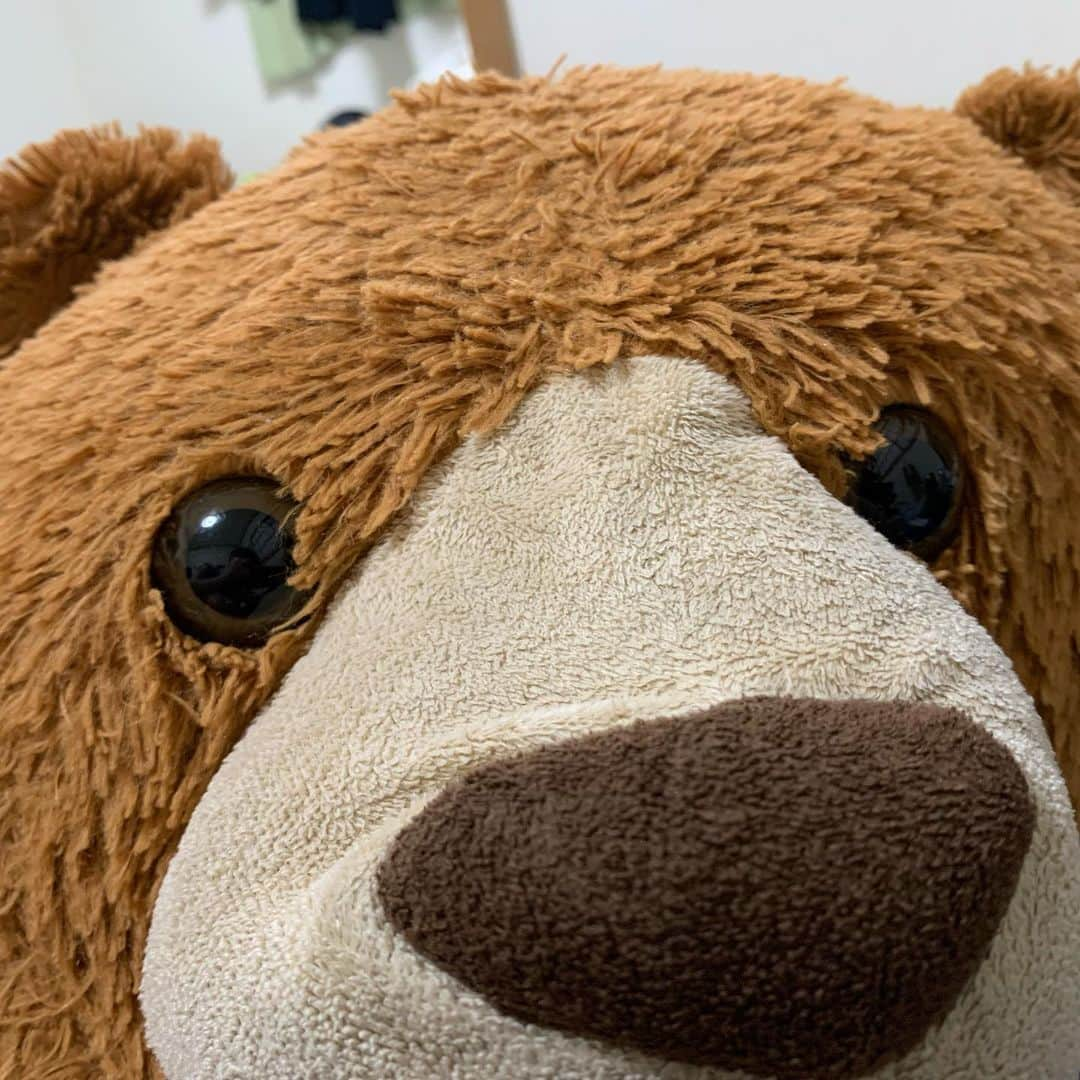 ウネモトモネさんのインスタグラム写真 - (ウネモトモネInstagram)「🐻🐻🐻🐻🐻🐻🐻🐻🐻🐻」7月14日 0時54分 - unemonejpnz