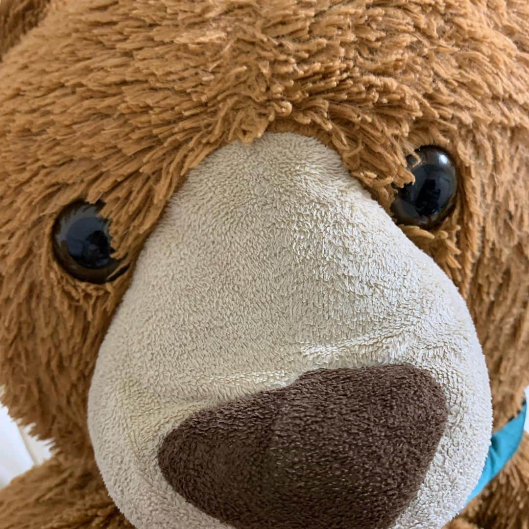 ウネモトモネさんのインスタグラム写真 - (ウネモトモネInstagram)「🐻🐻🐻🐻🐻🐻🐻🐻🐻🐻」7月14日 0時54分 - unemonejpnz