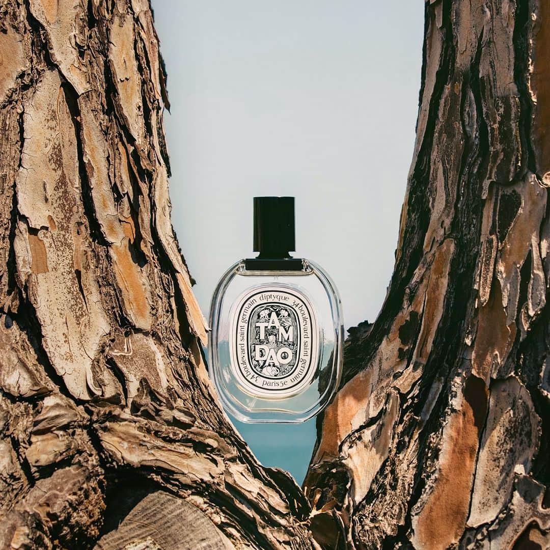ディプティックのインスタグラム：「In the hills…  …overlooking the Mediterranean, Tam Dao rediscovers familiar accords: the lively notes of myrtle and cypress on the paths. Treasures from the forest. #Diptyque #DiptyqueParis #TamDao」