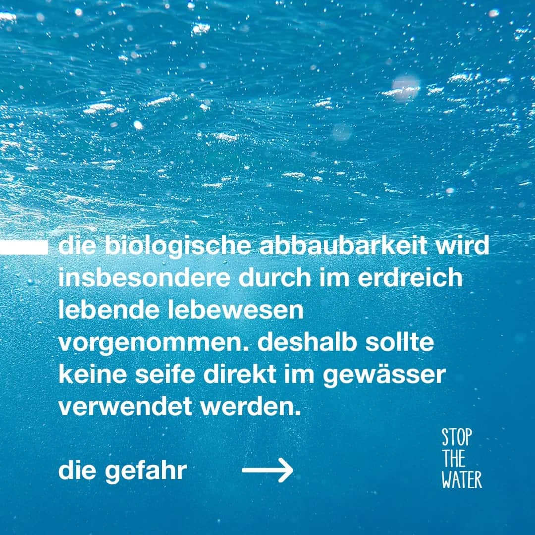 Stop The Water While Using Me!さんのインスタグラム写真 - (Stop The Water While Using Me!Instagram)「Eine Frage, die uns immer wieder gestellt wird: Kann ich eure Produkte auch in der Natur verwenden? Hier kommt die Antwort! ⁠ ⁠ Alle unsere Produkte bestehen zu 100 % aus natürlichen und biologisch abbaubaren Inhaltsstoffen. In Gewässern solltest du sie aber bitte dennoch nicht verwenden. Den Grund und wie du es stattdessen richtig machst, erklären wir dir auf den Slides.⁠ ⁠ Was würdest du noch gerne über unsere Produkte erfahren? ⁠ ⁠ #stopthewater #stopthewaterwhileusingme #naturkosmetik #biologischabbaubar #kosmetikindernatur #wasserschutz」7月14日 1時02分 - stopthewater