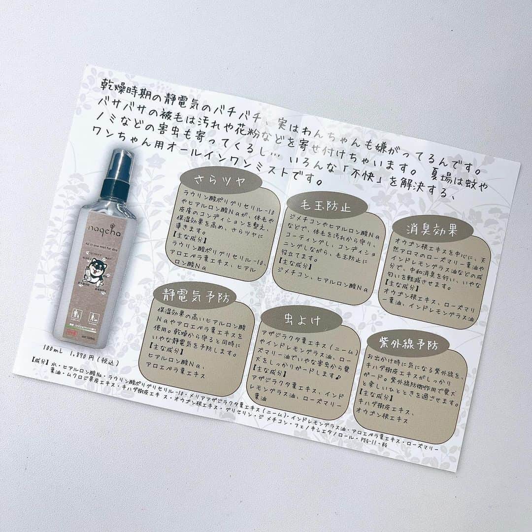 手束真知子さんのインスタグラム写真 - (手束真知子Instagram)「naqchaオールインワンミスト愛犬用100mL  が届きました🐶✨  わんちゃん用ミストなのですが、 これ、優れものなんですよ！！  これ1本で さらツヤ・虫よけ・空間消臭・紫外線予防・毛玉防止・静電気予防になるんです！凄くないですか！？  夏の時期は虫が心配なので 虫除けスプレーを探していたところ、虫除けだけでなく毛艶にも良いものを見つけちゃいました^ ^  この夏の必需品になりそうです🎵  PR @anzu_papa #美容とペットのナクチャ #naqcha #愛犬用 #オールインワンミスト #虫よけ #紫外線予防 #静電気予防 #毛玉防止」7月14日 1時19分 - machikotezuka