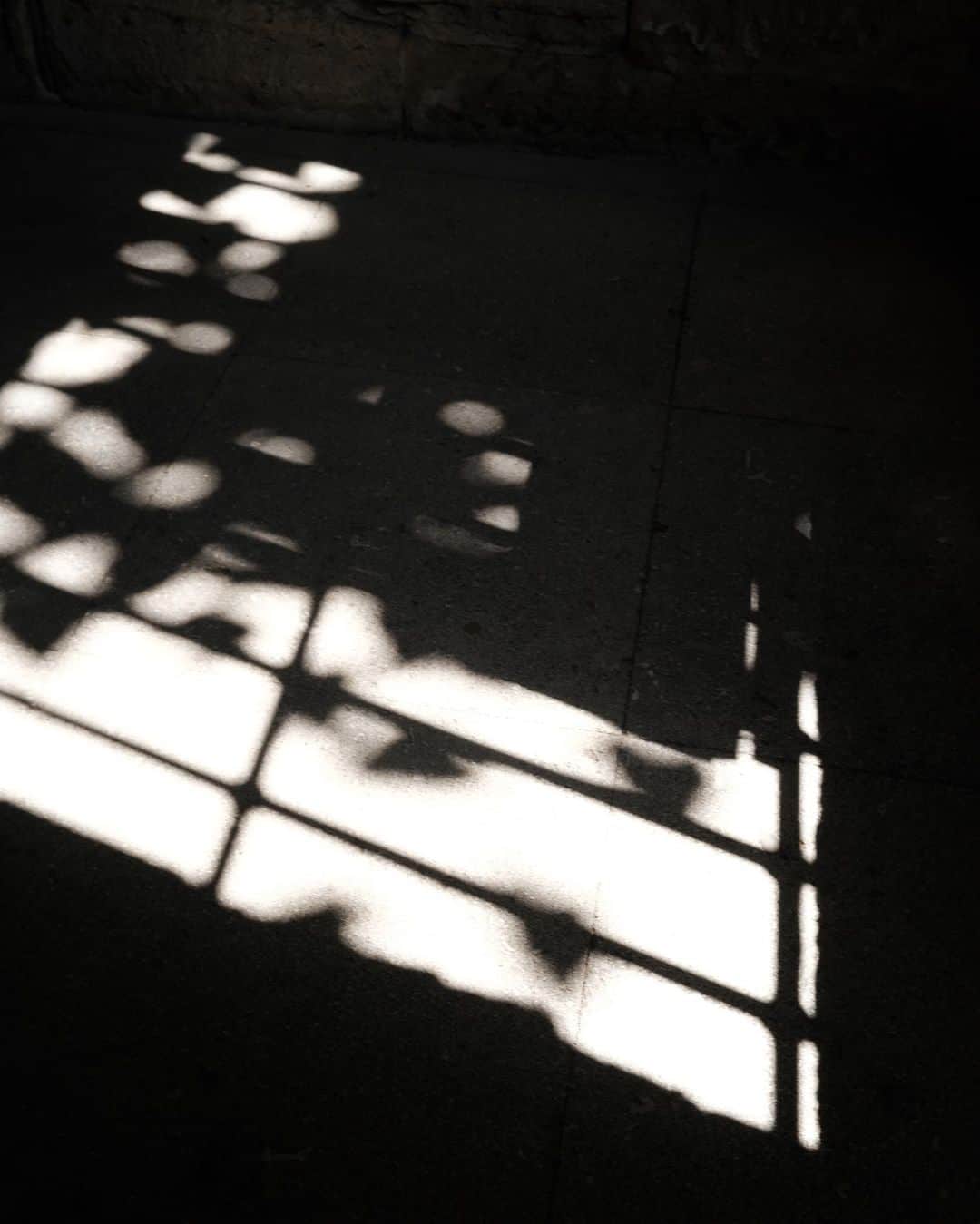 鎌田安里紗さんのインスタグラム写真 - (鎌田安里紗Instagram)「光採集🌾🌕🍋」7月14日 1時34分 - arisa_kamada