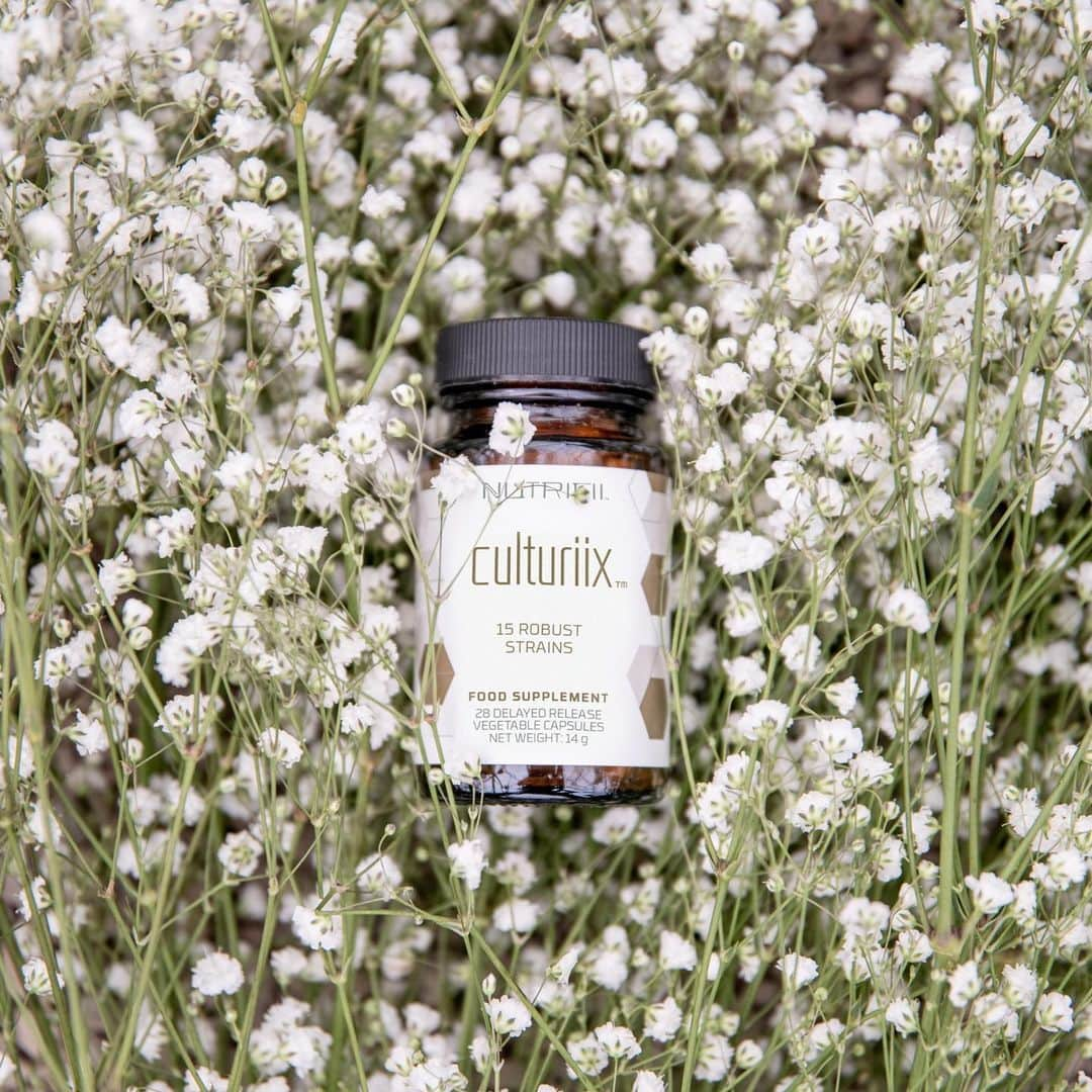 ARIIX Officialさんのインスタグラム写真 - (ARIIX OfficialInstagram)「BALANCE YOUR BODY, BALANCE YOUR LIFE⁠ ⁠ #Culturiix has 20 billion CFU of good bacteria from 15 strains to support your body's natural balance. ⁠ ⁠ #PartnerCo #Nutrifii」7月14日 2時41分 - partnercoglobal