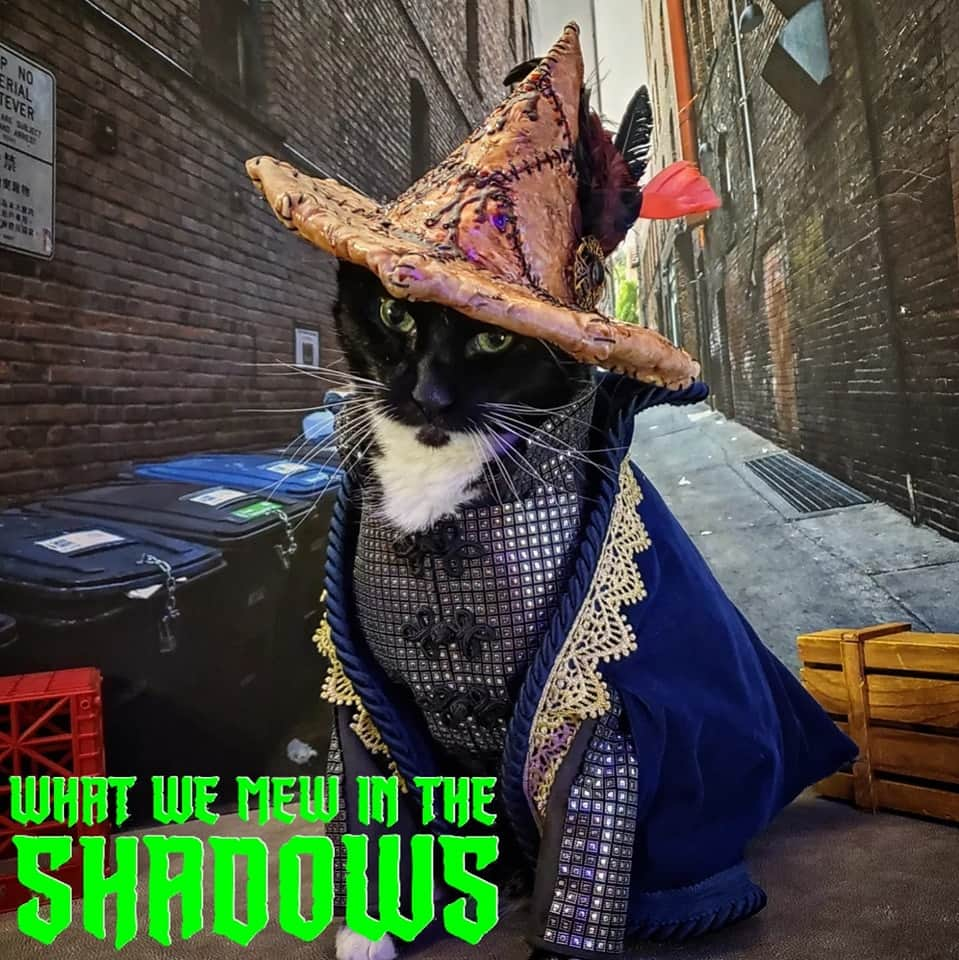 猫コスプレさんのインスタグラム写真 - (猫コスプレInstagram)「Time to grab your fanciest hat.  #ShadowsFX #wwdits #Laszlo #laszlocravensworth #cursedhat . . . . #WhatWeDointheShadows #whatwedointheshadowscosplay #wwditscosplay #laszlocosplay #wwditsfanart #catcosplay #cosplay #cosplayer #cat #catcostume #catsinclothes #petclothes #PetCostume #vampire #gore #horror #humor #funnycats #puns」7月14日 2時53分 - cat_cosplay