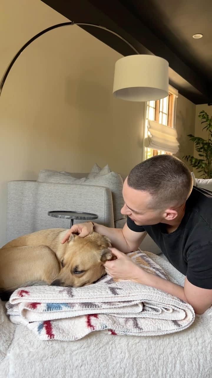 アダム・リッポンのインスタグラム：「Thanks @magicaltome for helping me figure out the best way to talk to my dog about how he barks inside #tomepartner」