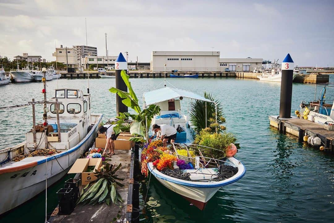 椎木俊介さんのインスタグラム写真 - (椎木俊介Instagram)「Botanical sculpture × In Bloom project - Sea #3  #azumamakoto #shiinokishunsuke #amkk #botanicalsculpture #inbloom  #sea  #flowerart #東信 #東信花樹研究所 #unexpectedscenery」7月14日 5時21分 - shiinokishunsuke