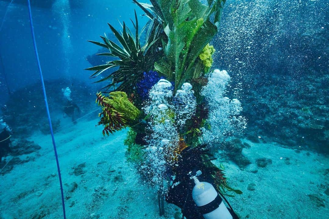 椎木俊介さんのインスタグラム写真 - (椎木俊介Instagram)「Botanical sculpture × In Bloom project - Sea #3  #azumamakoto #shiinokishunsuke #amkk #botanicalsculpture #inbloom  #sea  #flowerart #東信 #東信花樹研究所 #unexpectedscenery」7月14日 5時21分 - shiinokishunsuke