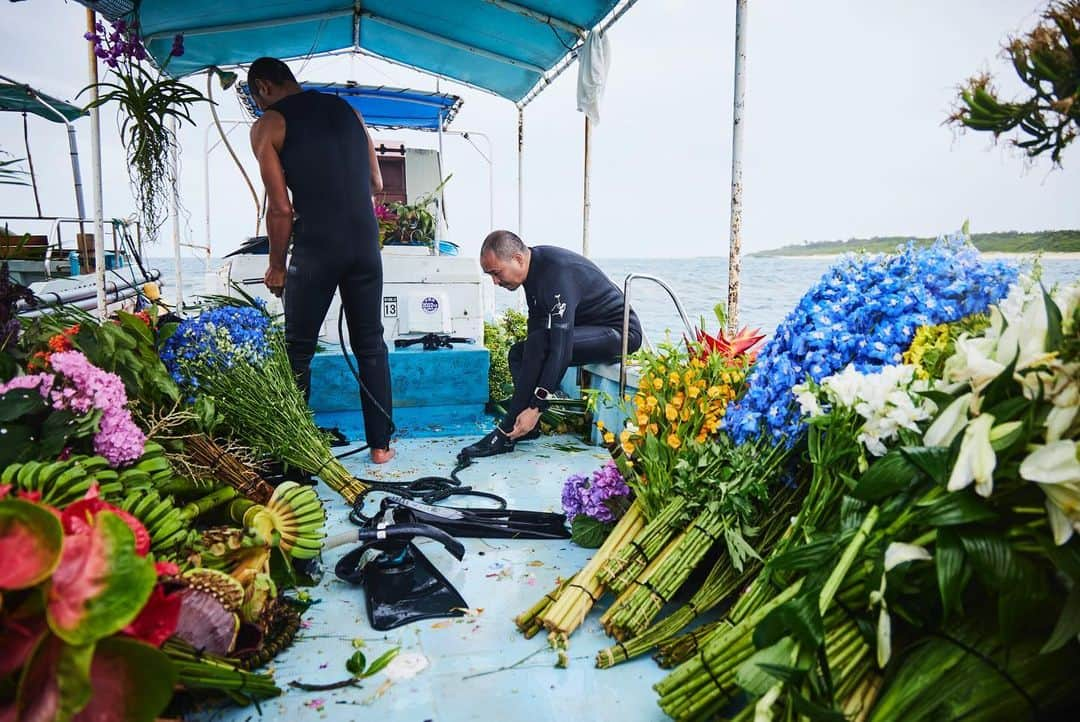 椎木俊介さんのインスタグラム写真 - (椎木俊介Instagram)「Botanical sculpture × In Bloom project - Sea #3  #azumamakoto #shiinokishunsuke #amkk #botanicalsculpture #inbloom  #sea  #flowerart #東信 #東信花樹研究所 #unexpectedscenery」7月14日 5時21分 - shiinokishunsuke