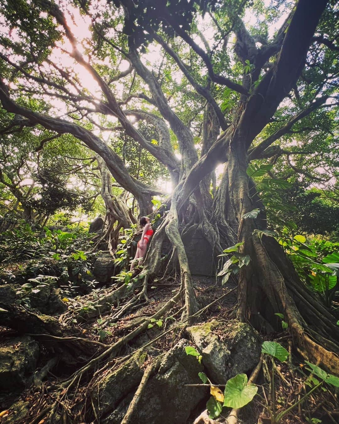 アリスのインスタグラム：「🧚‍♀️🧚‍♀️🧚‍♀️🧚‍♀️」